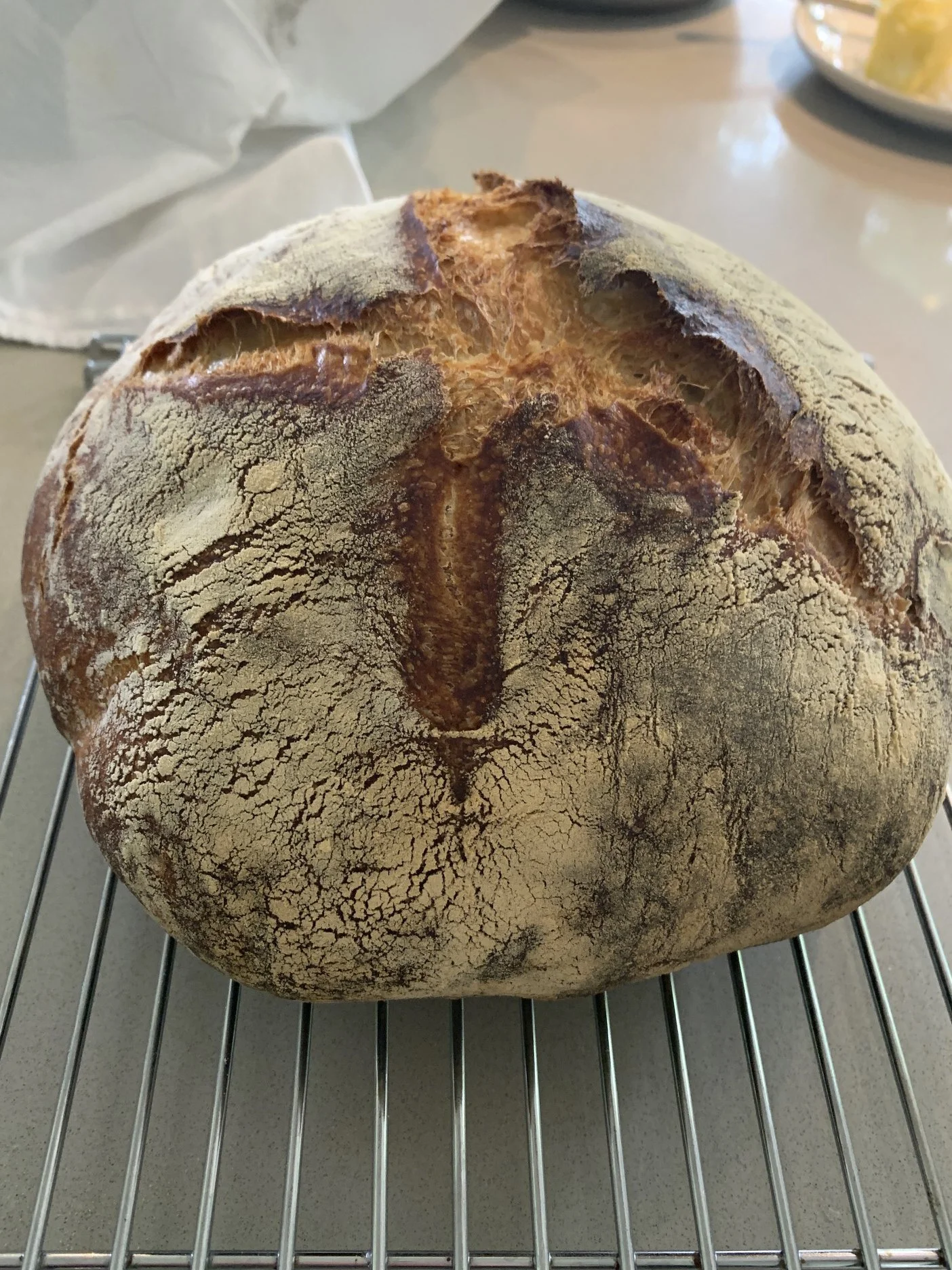 quarantine objects website (58 of 73).jpg