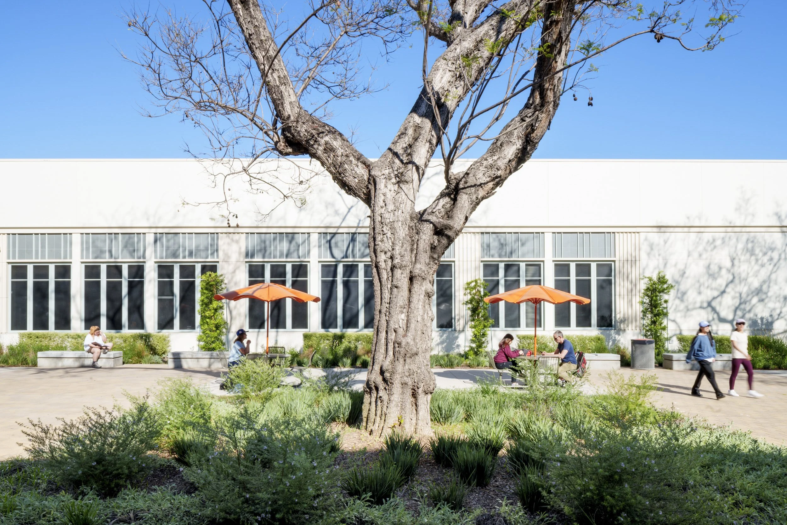 MIG Los Angeles Campus Projects Kirk Hostetter (13 of 19).jpg