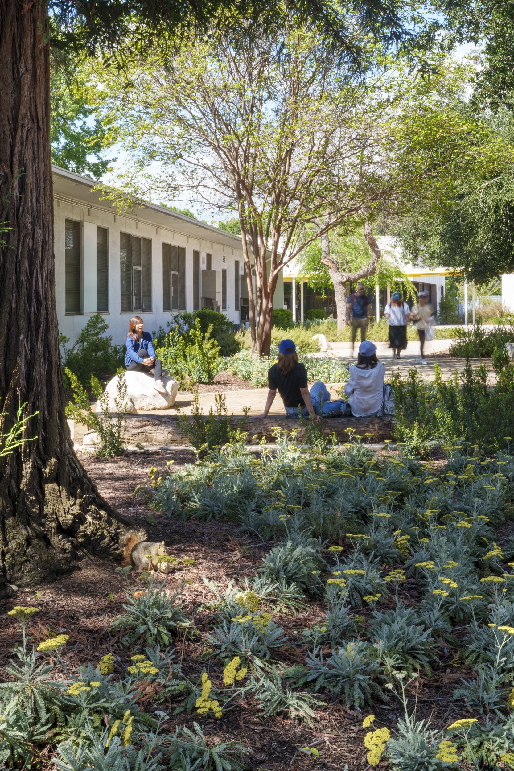 MIG Los Angeles Campus Projects Kirk Hostetter (6 of 19).jpg