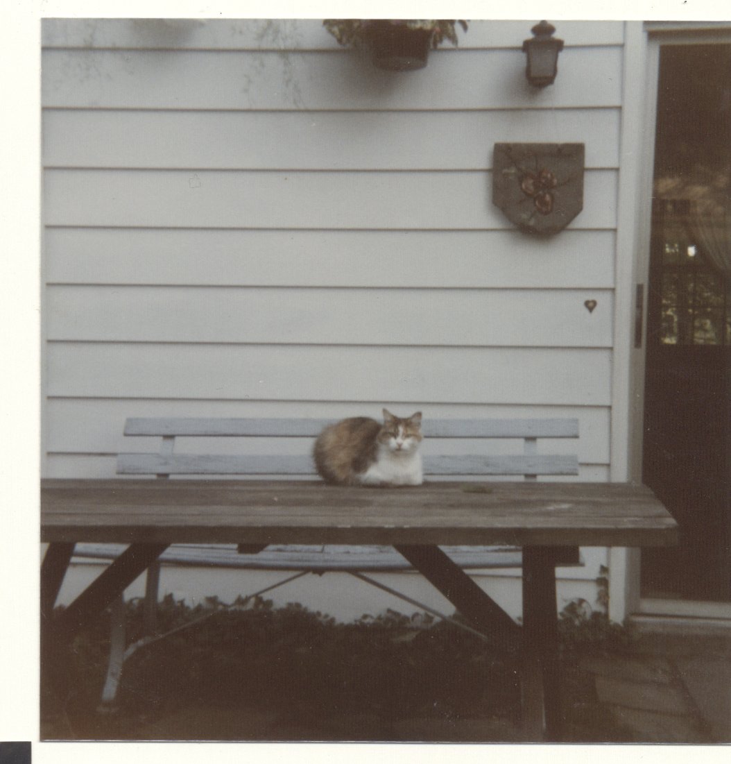 kirk history 1 (110 of 146).jpg