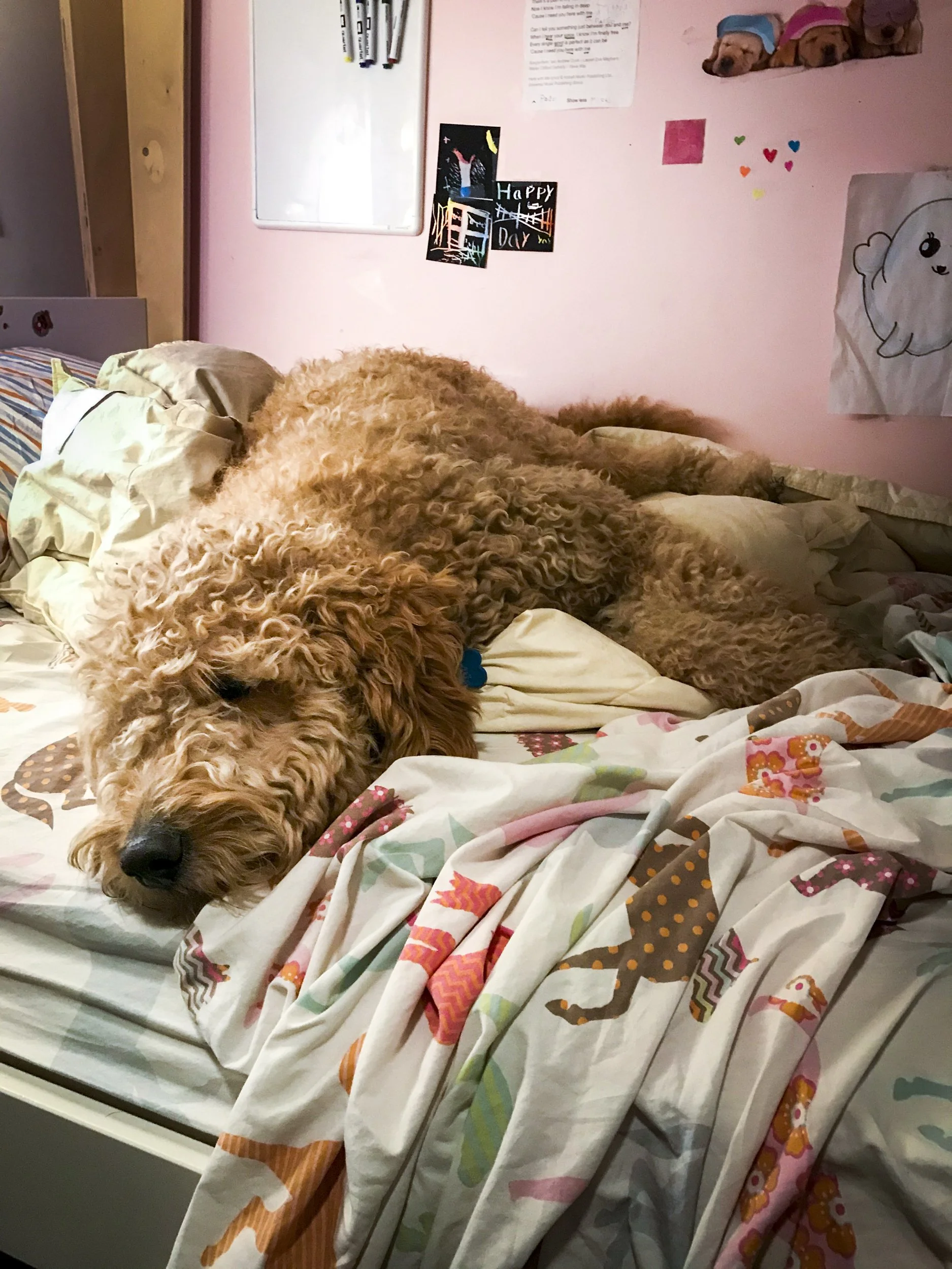 quarantine objects website (65 of 73).jpg