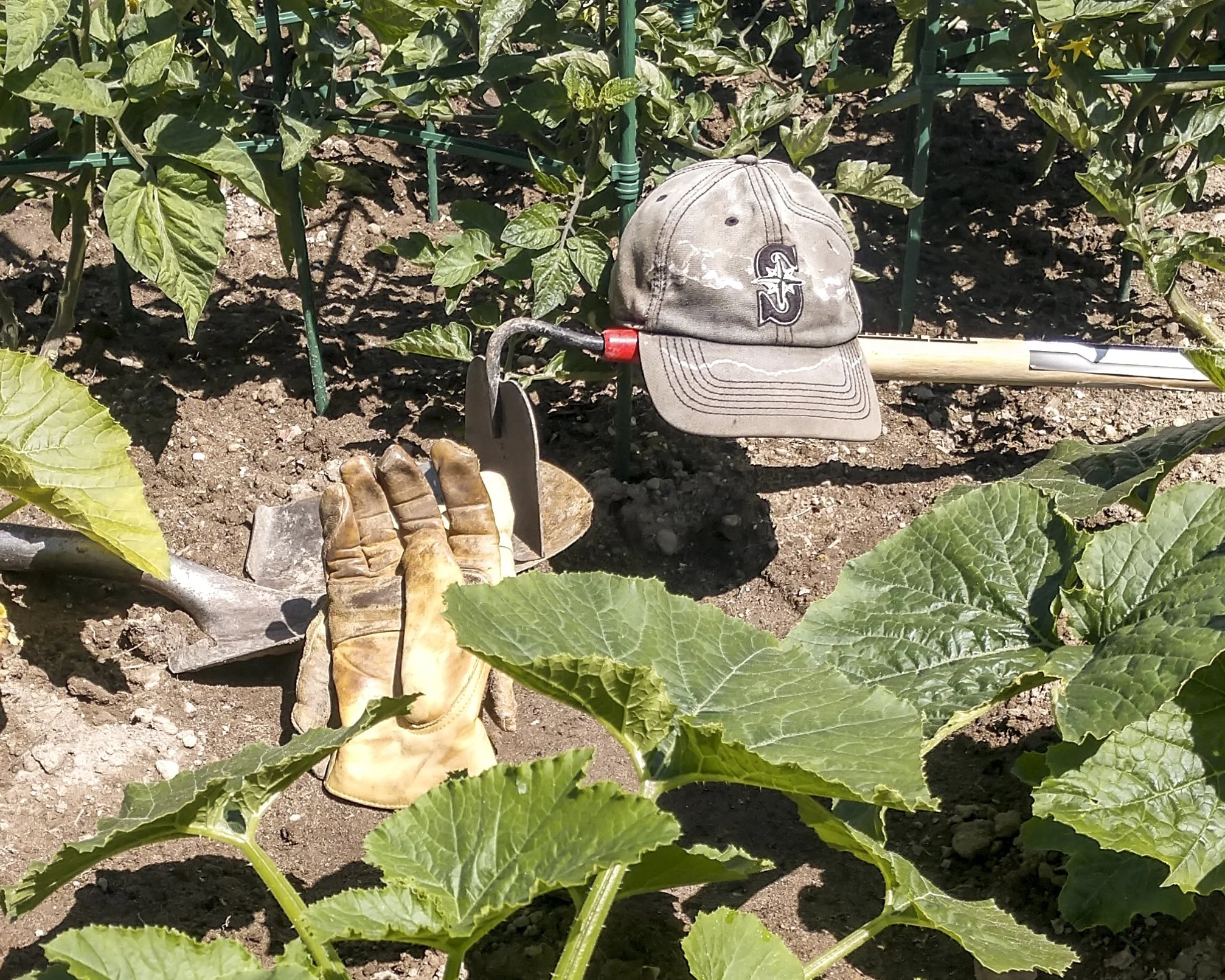 quarantine objects website (2 of 73).jpg