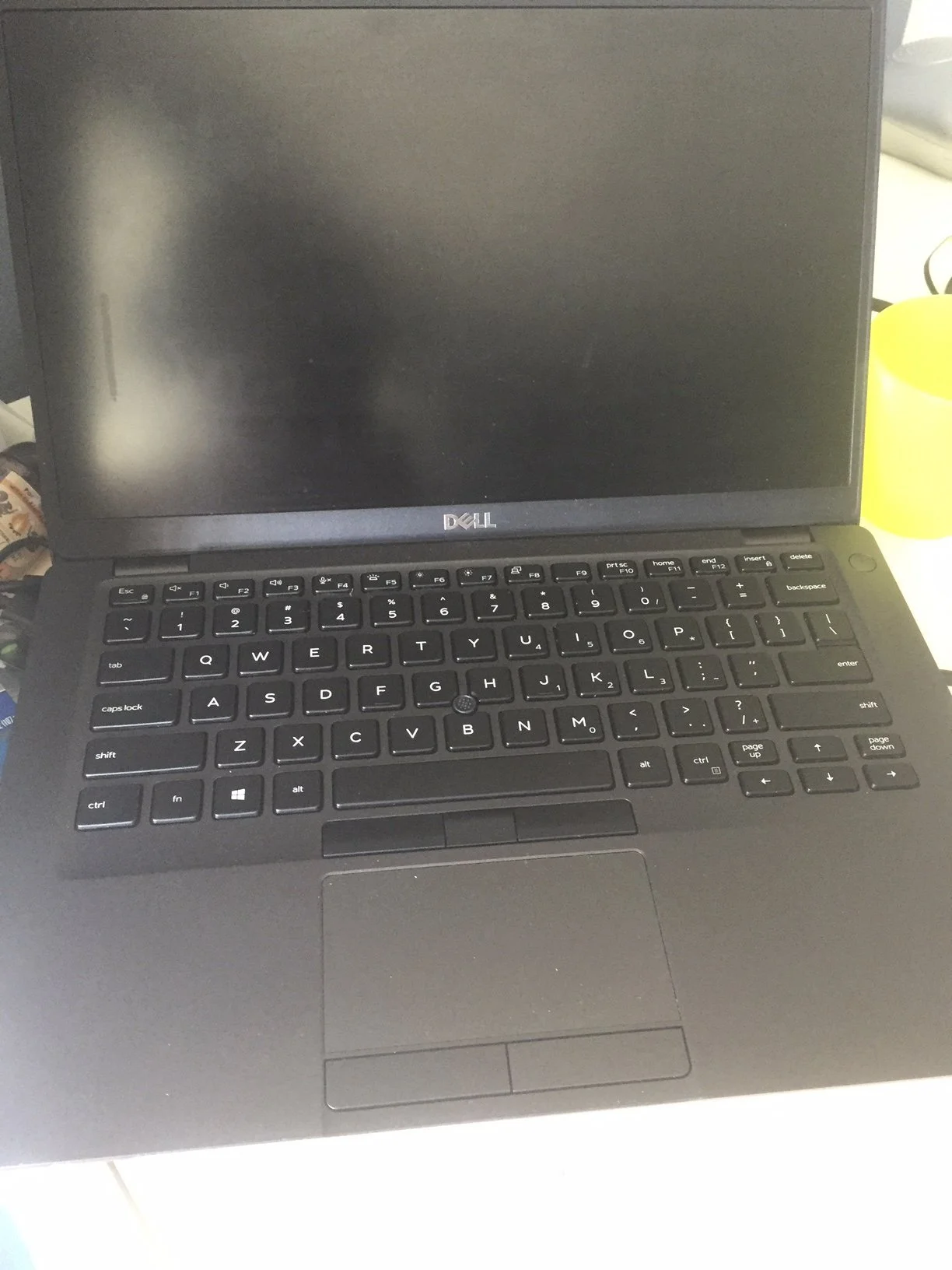 quarantine objects website (44 of 73).jpg