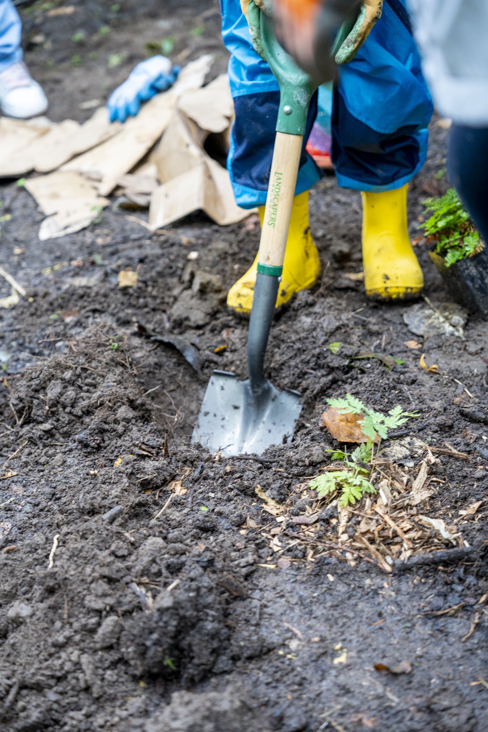 Green Seattle_Rainier Beach Urban Farm (2 of 9).jpg