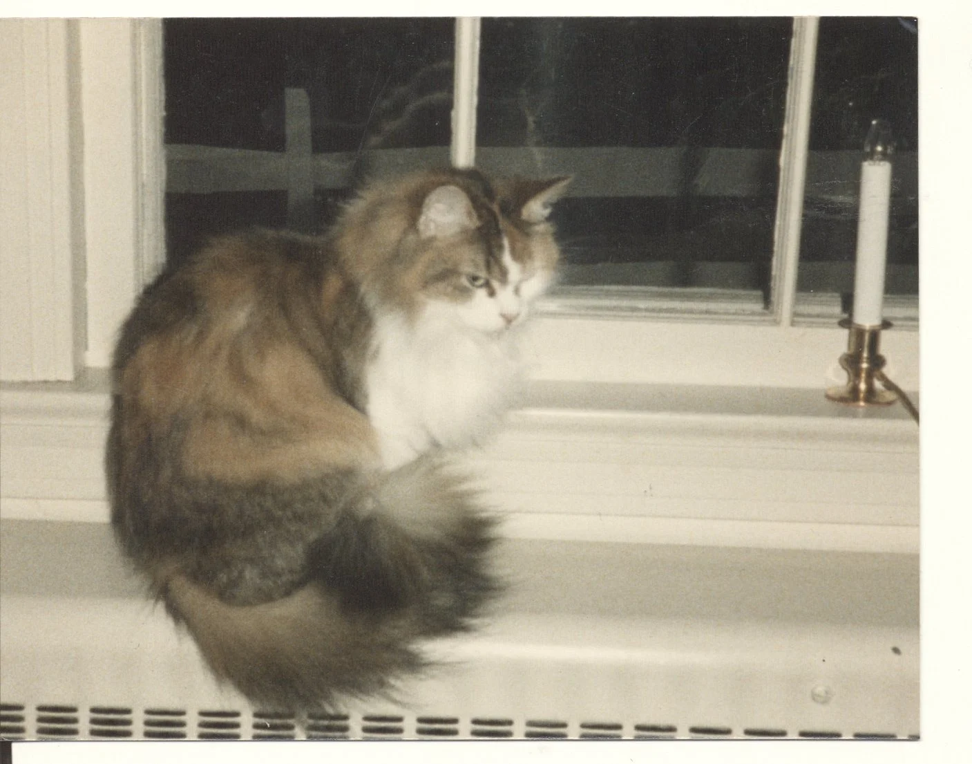 kirk history 1 (116 of 146).jpg