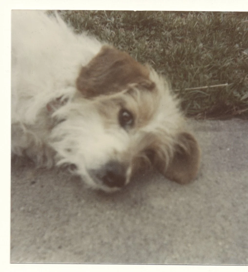 kirk history 1 (111 of 146).jpg