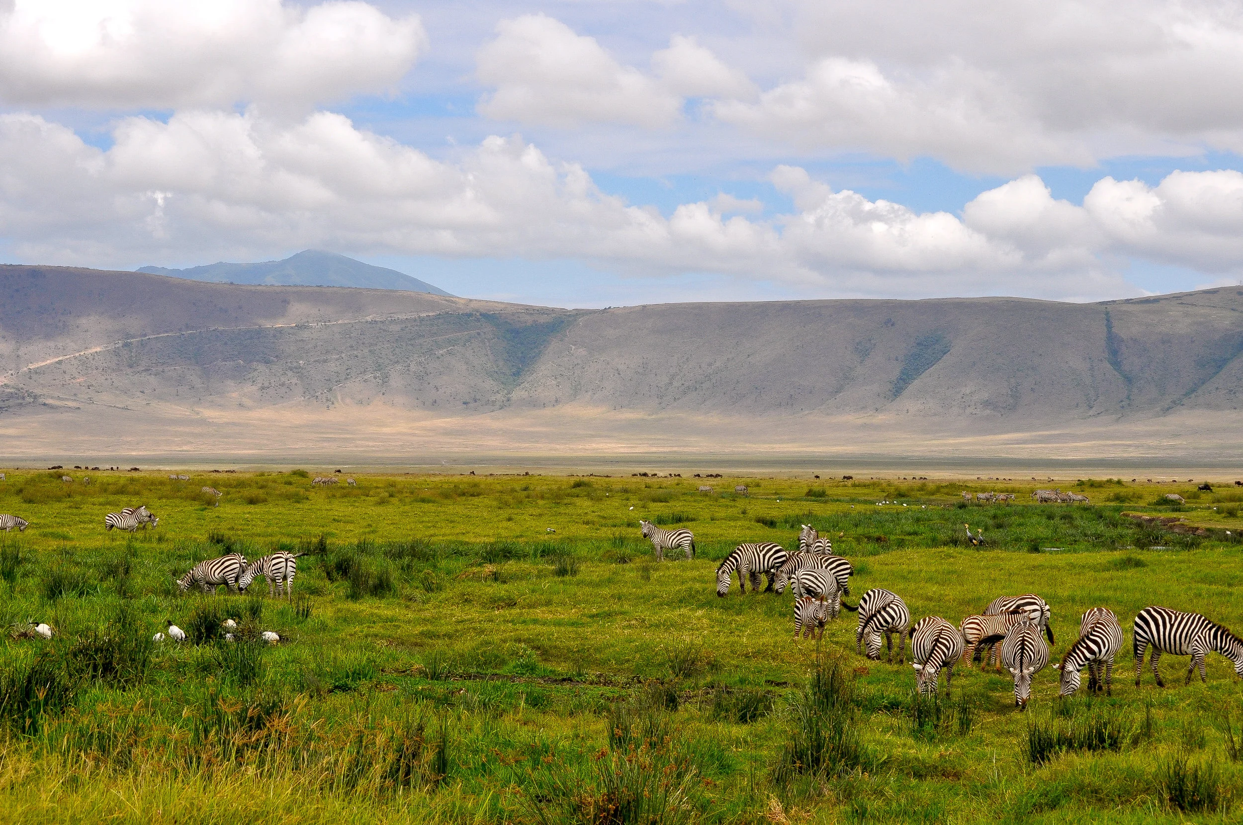 Cradle of Civilization