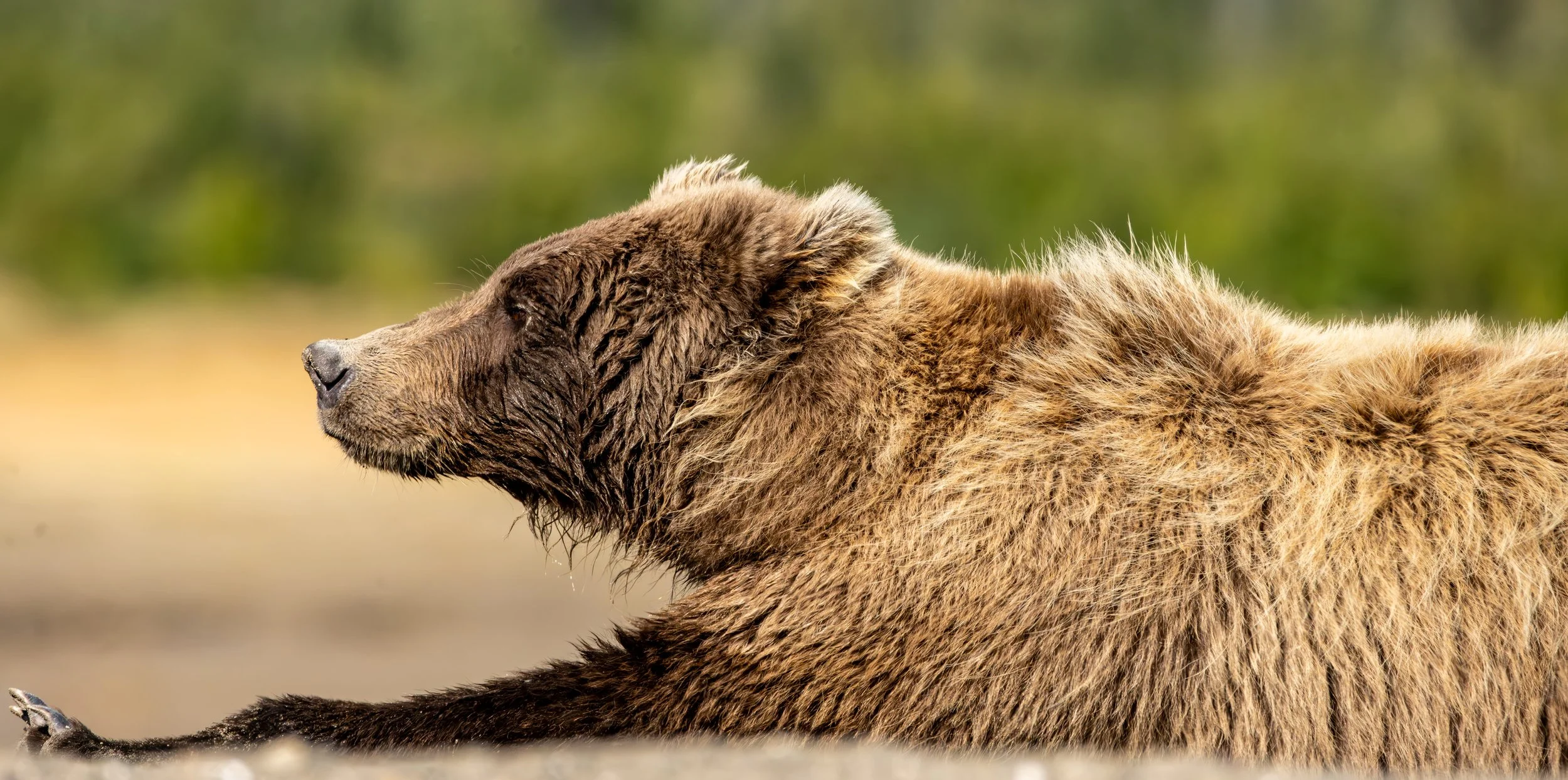 DSC_3498-Enhanced-NR 2.jpg