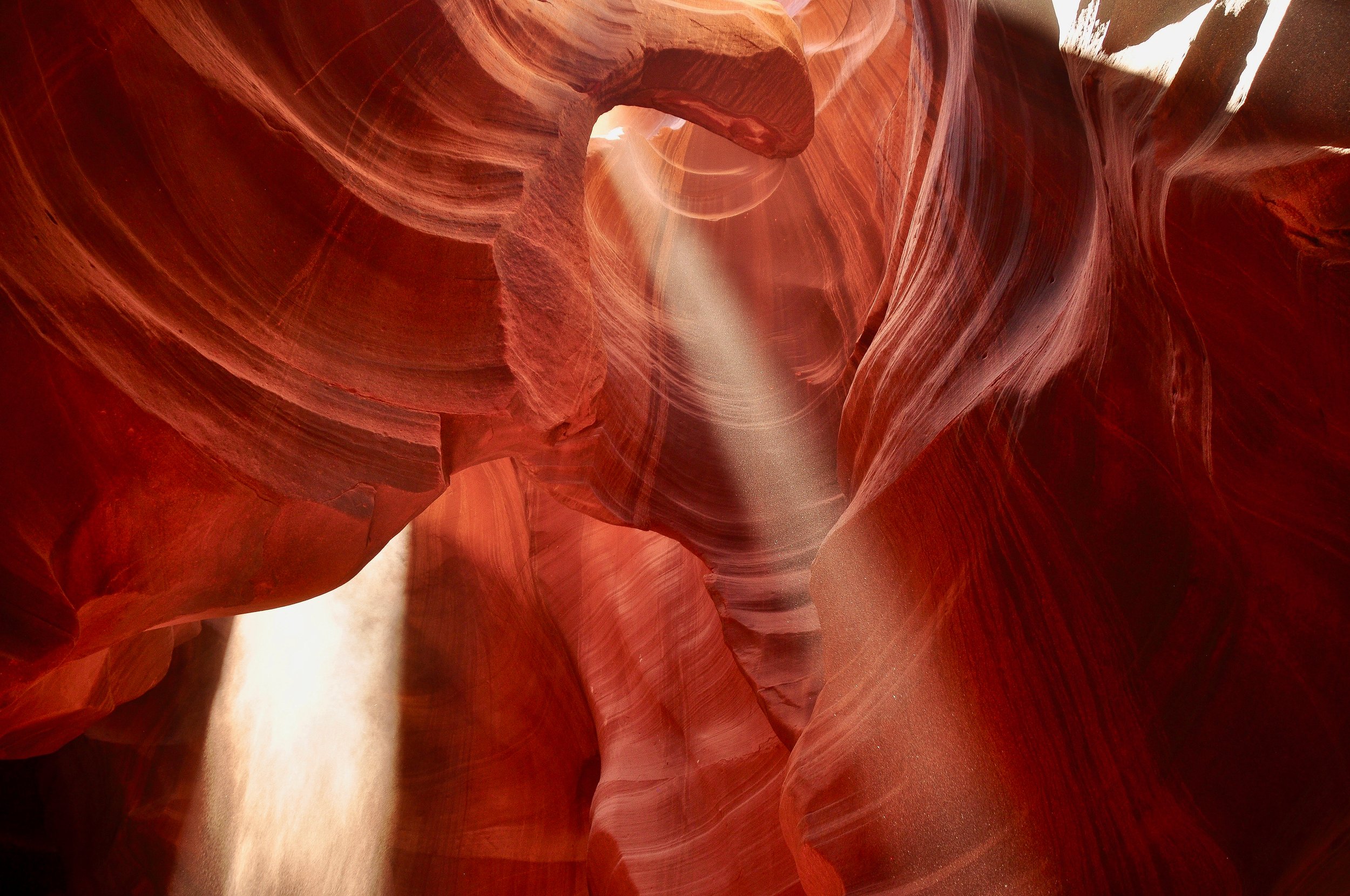 DSC_0316 2-2 copy.jpg