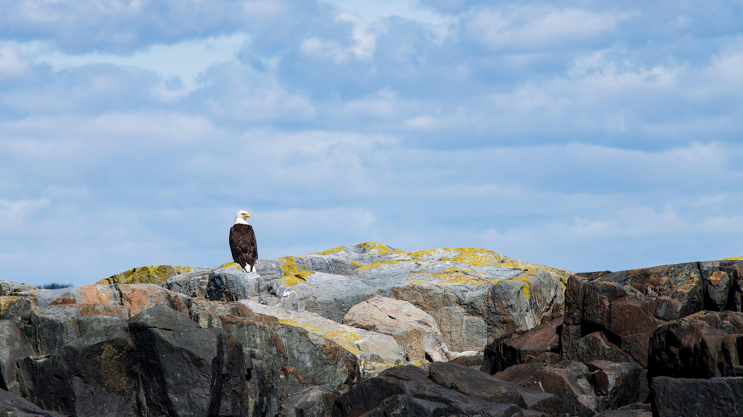 DSC_7595-SharpenAI-motion copy.jpg