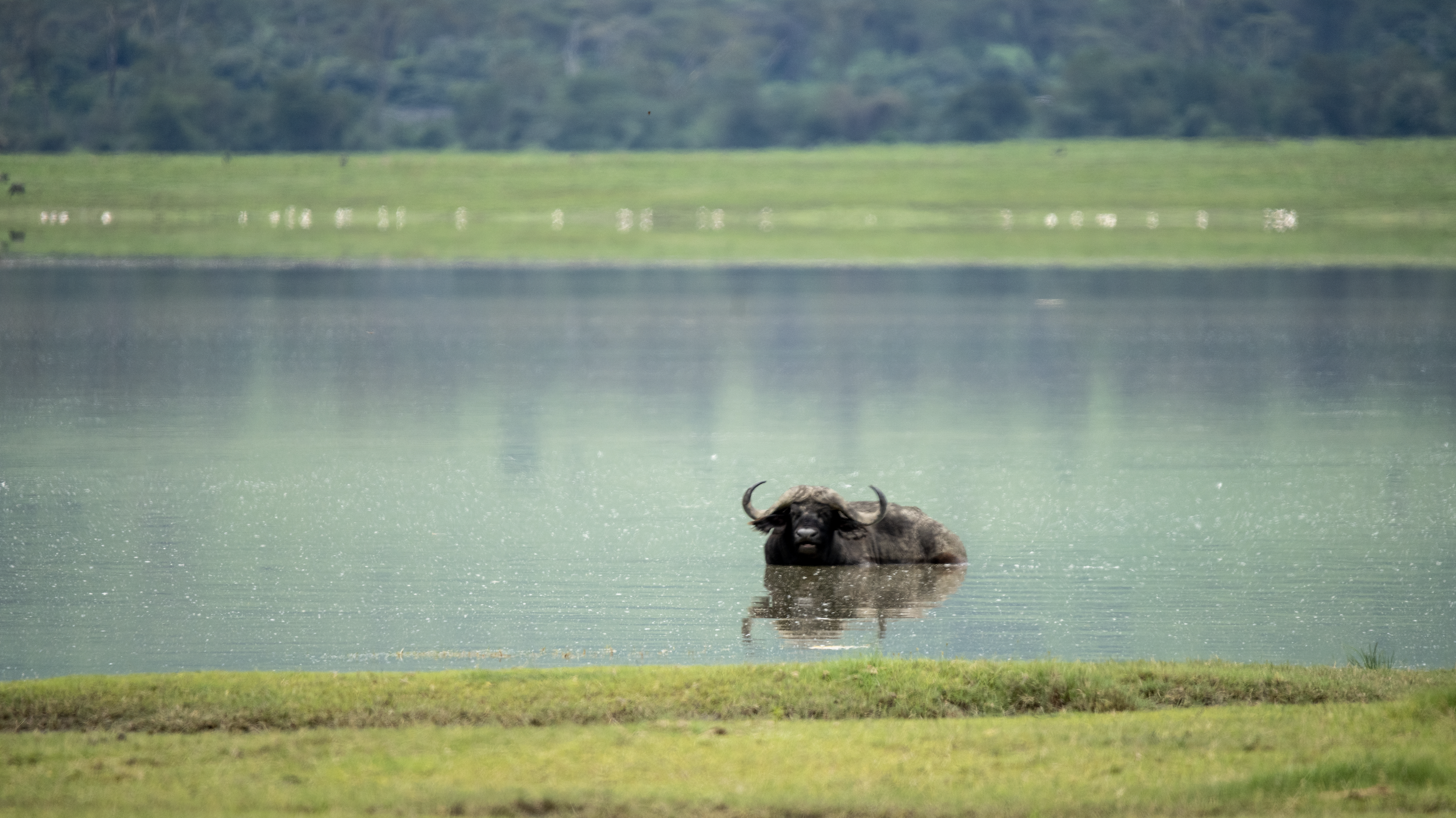 Screenshot 2026-02-19 at 1.10.56 PM.png