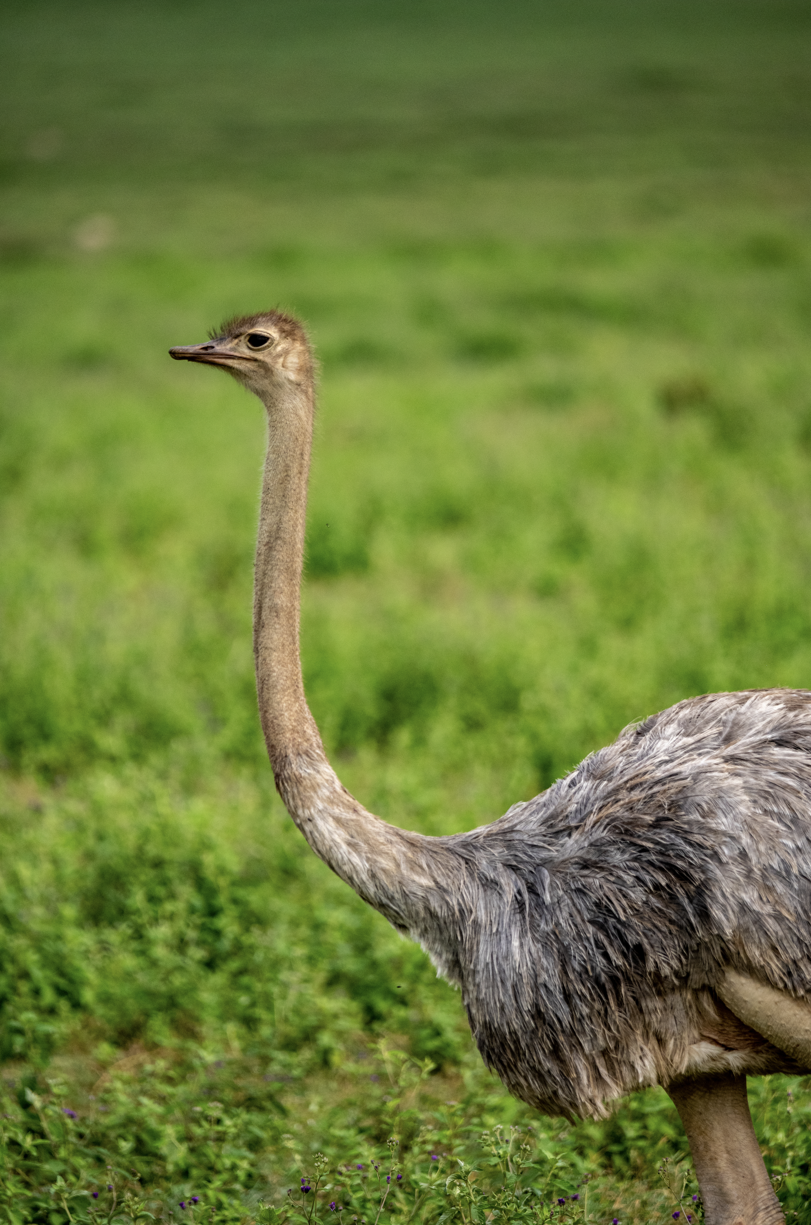 Screenshot 2026-02-19 at 1.12.31 PM.png