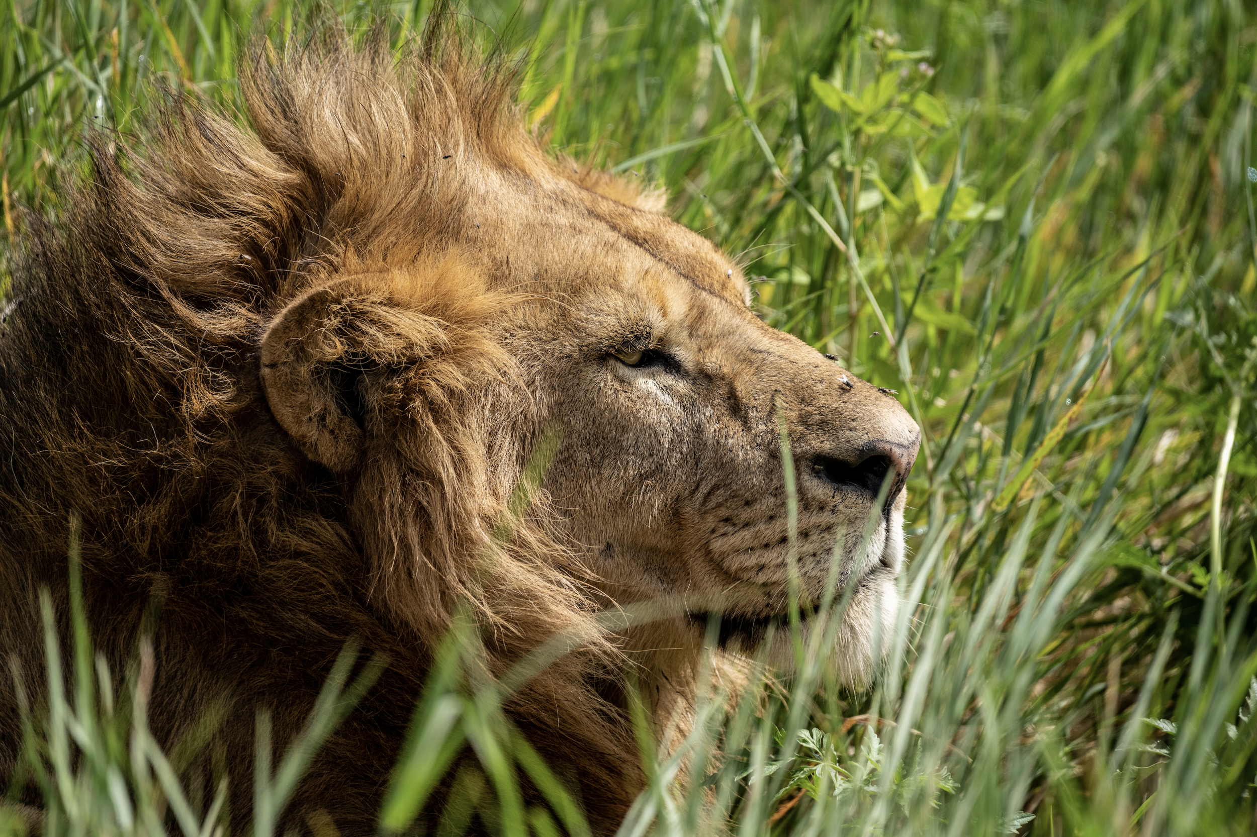 Screenshot 2026-02-19 at 1.11.56 PM.png