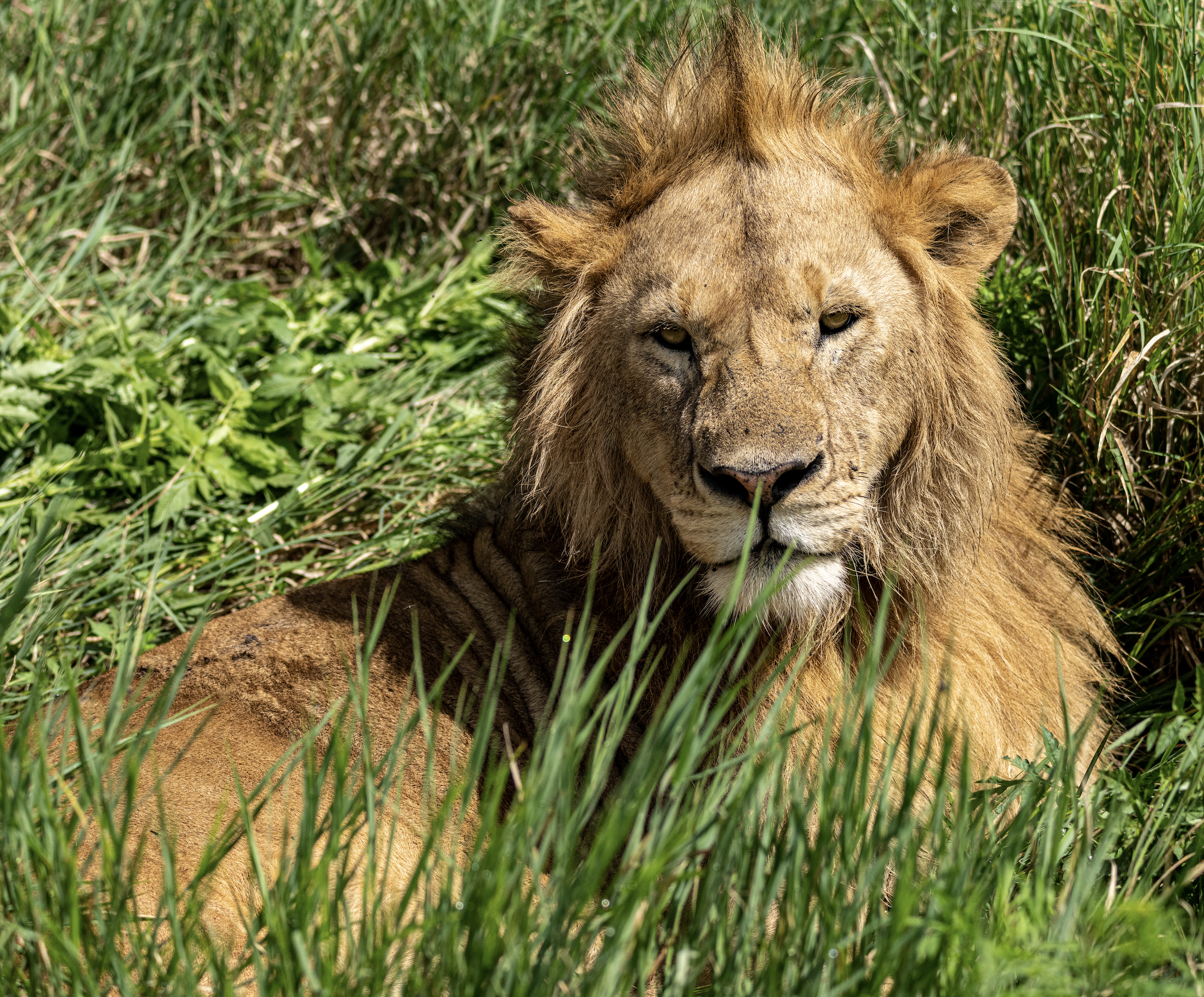 Screenshot 2026-02-19 at 1.16.13 PM.png