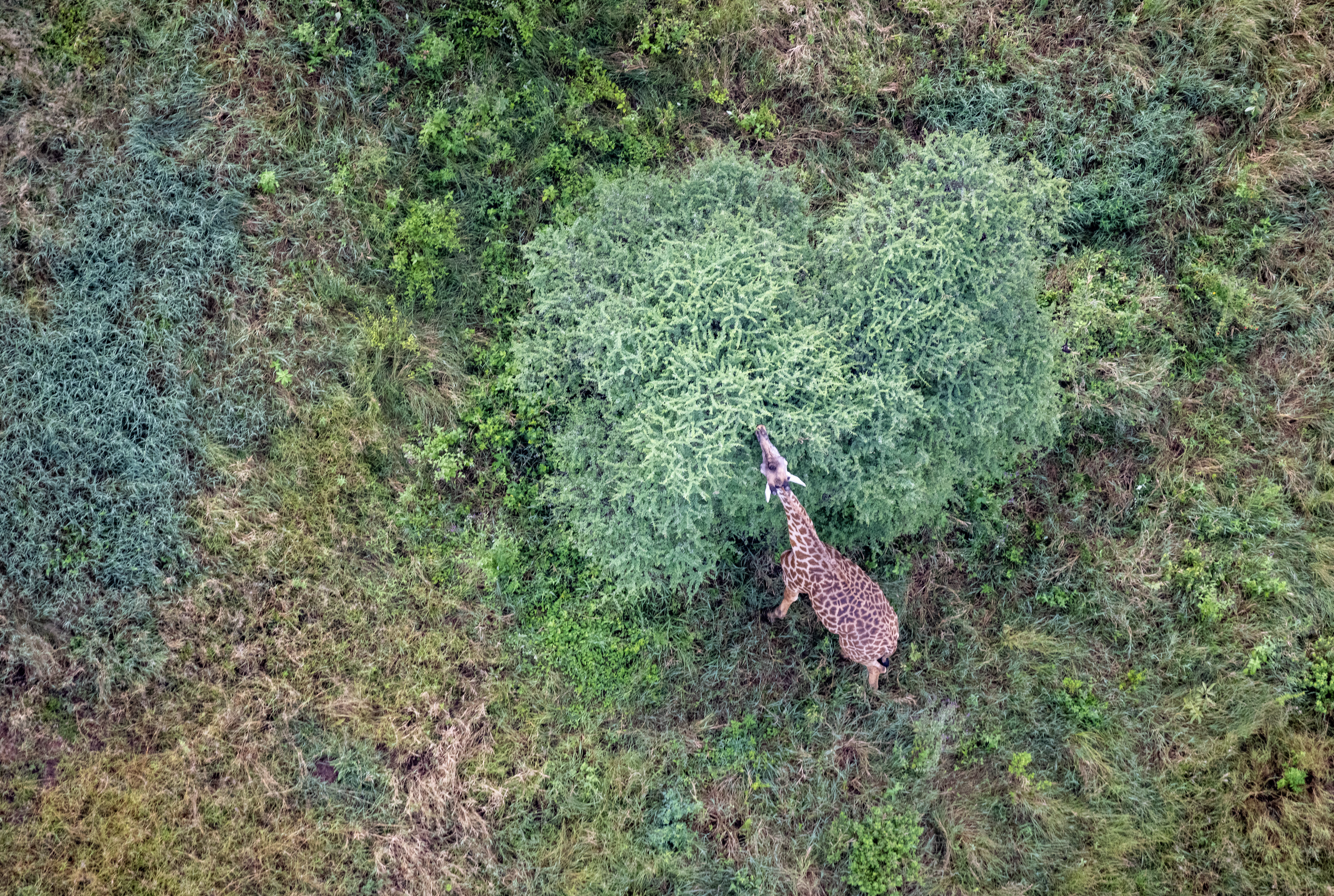 Screenshot 2026-02-19 at 1.17.33 PM.png