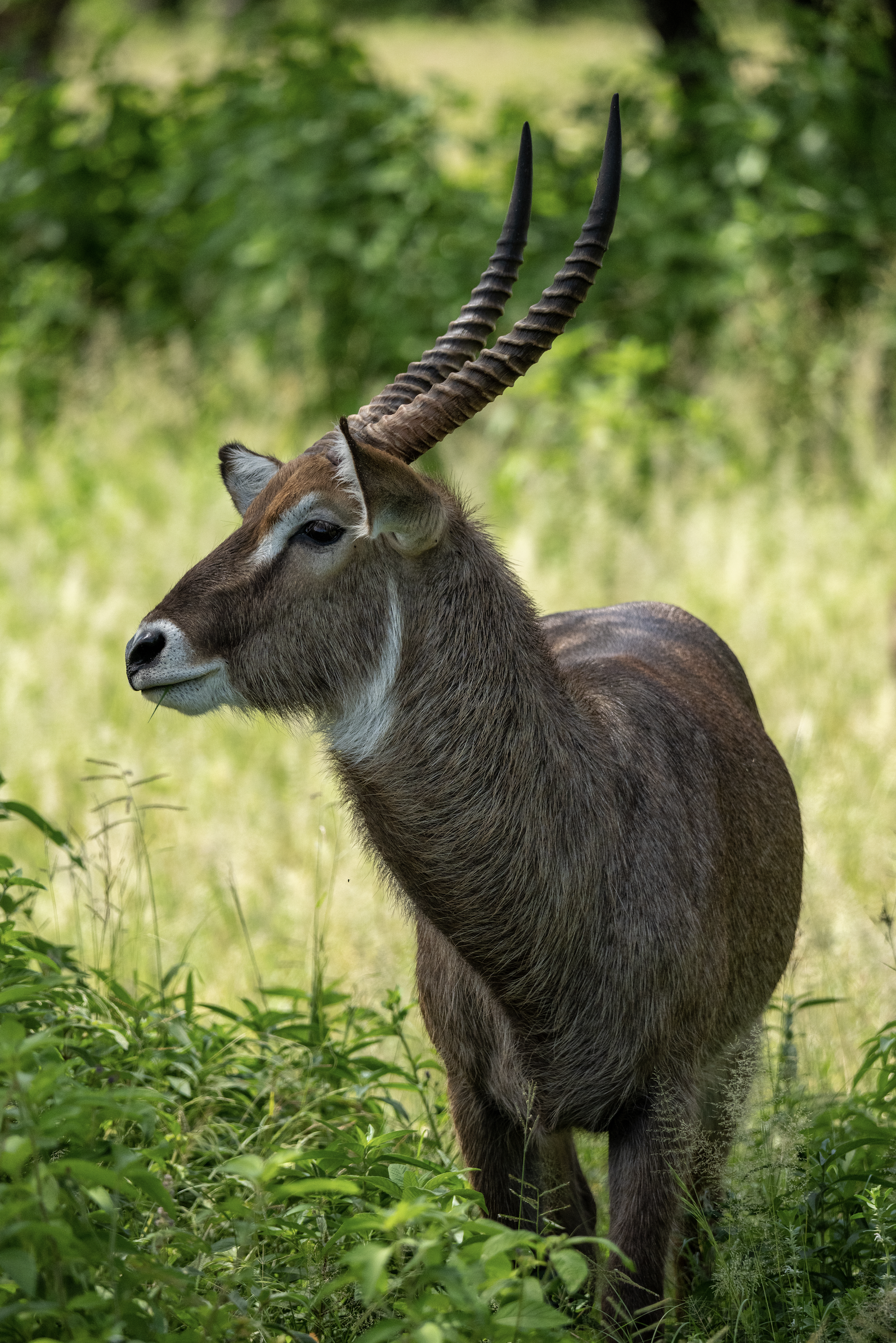 Screenshot 2026-02-19 at 1.25.03 PM.png