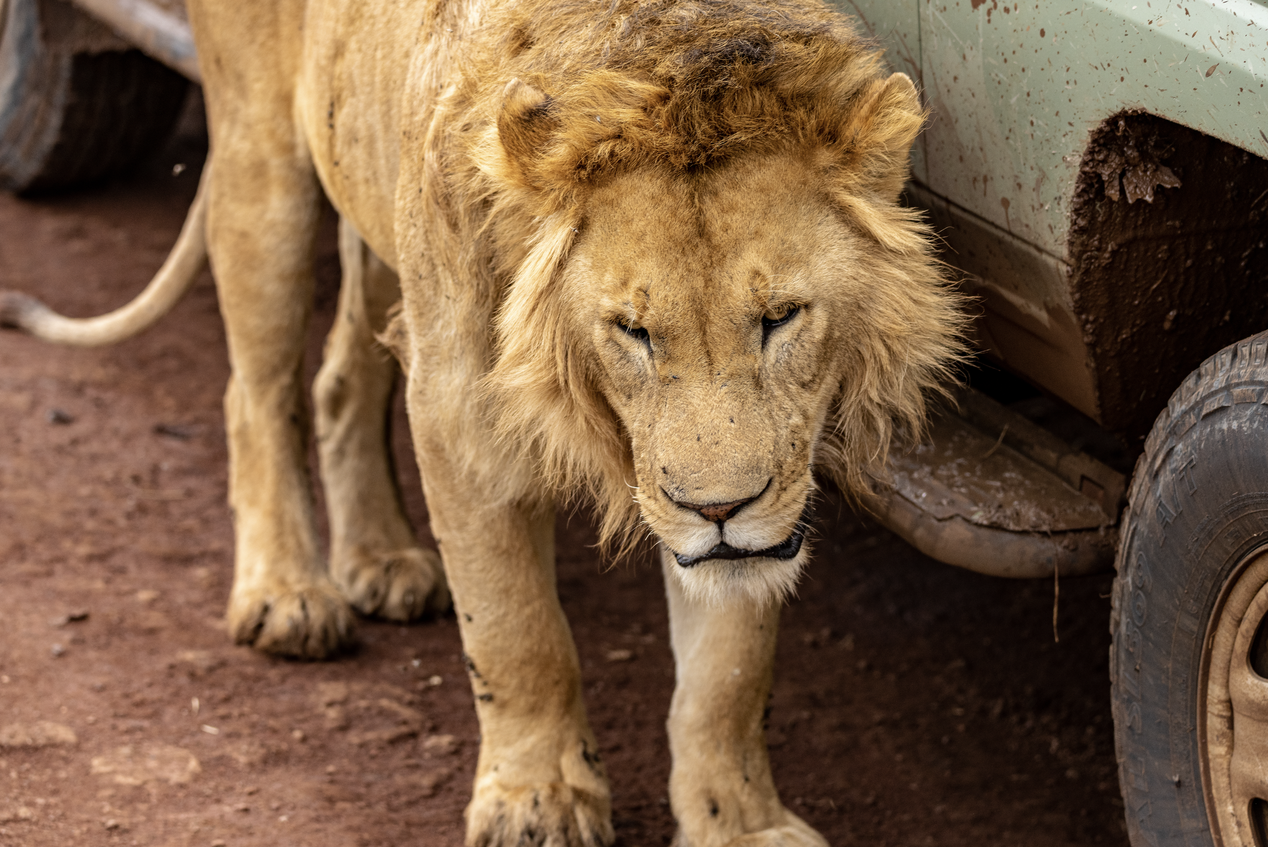 Screenshot 2026-02-19 at 1.41.59 PM.png