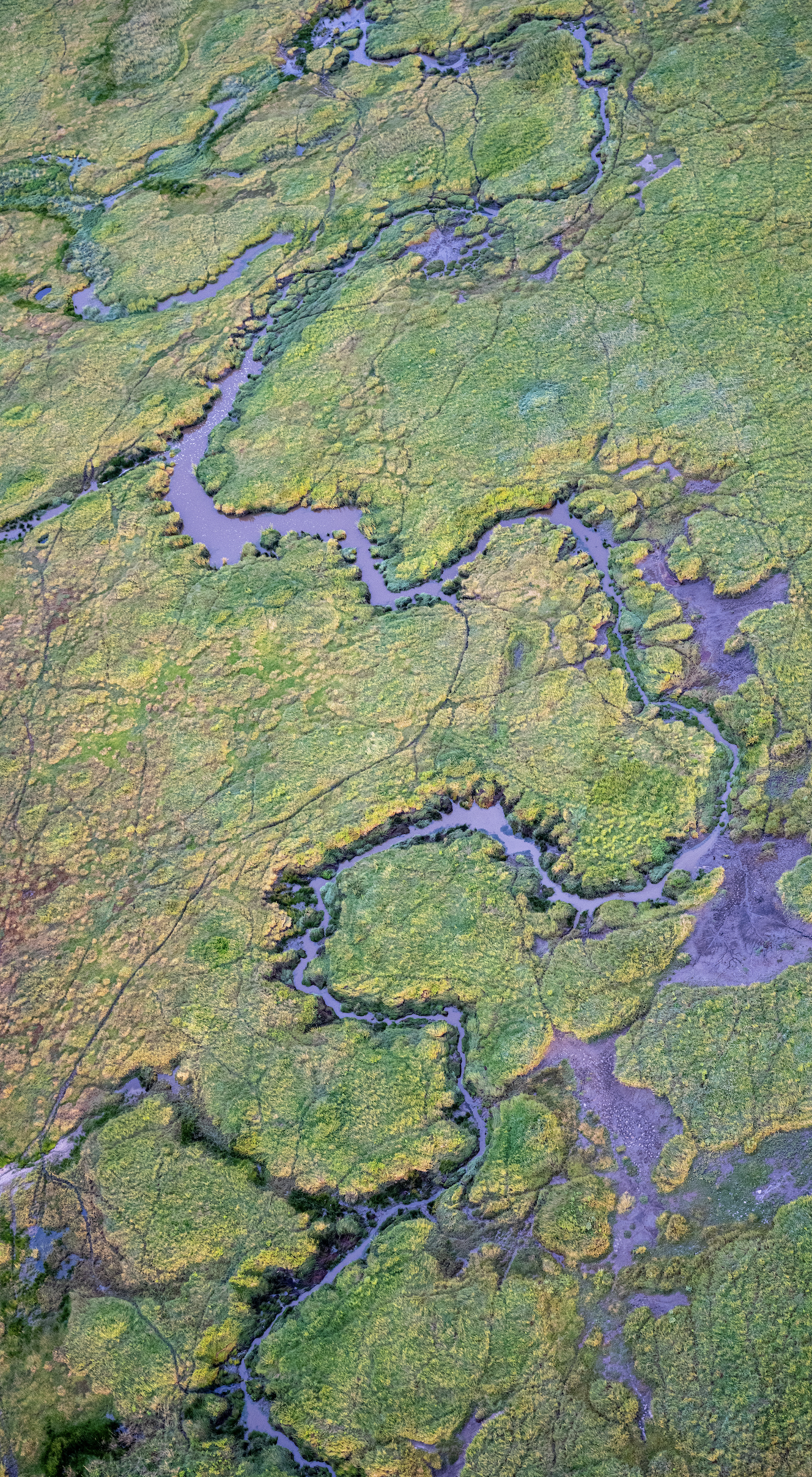 Screenshot 2026-02-19 at 1.49.43 PM.png