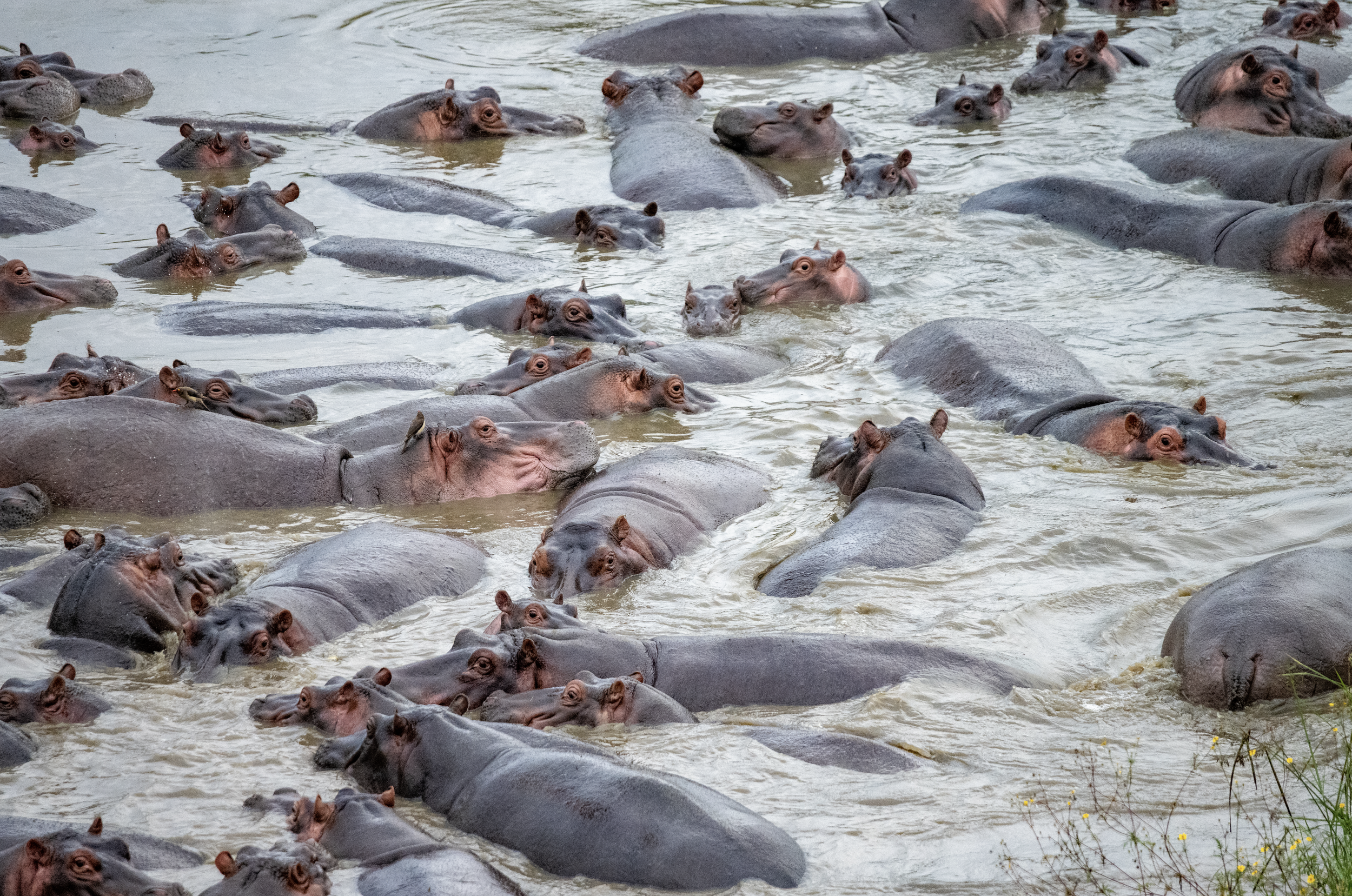 Screenshot 2026-02-19 at 1.48.37 PM.png