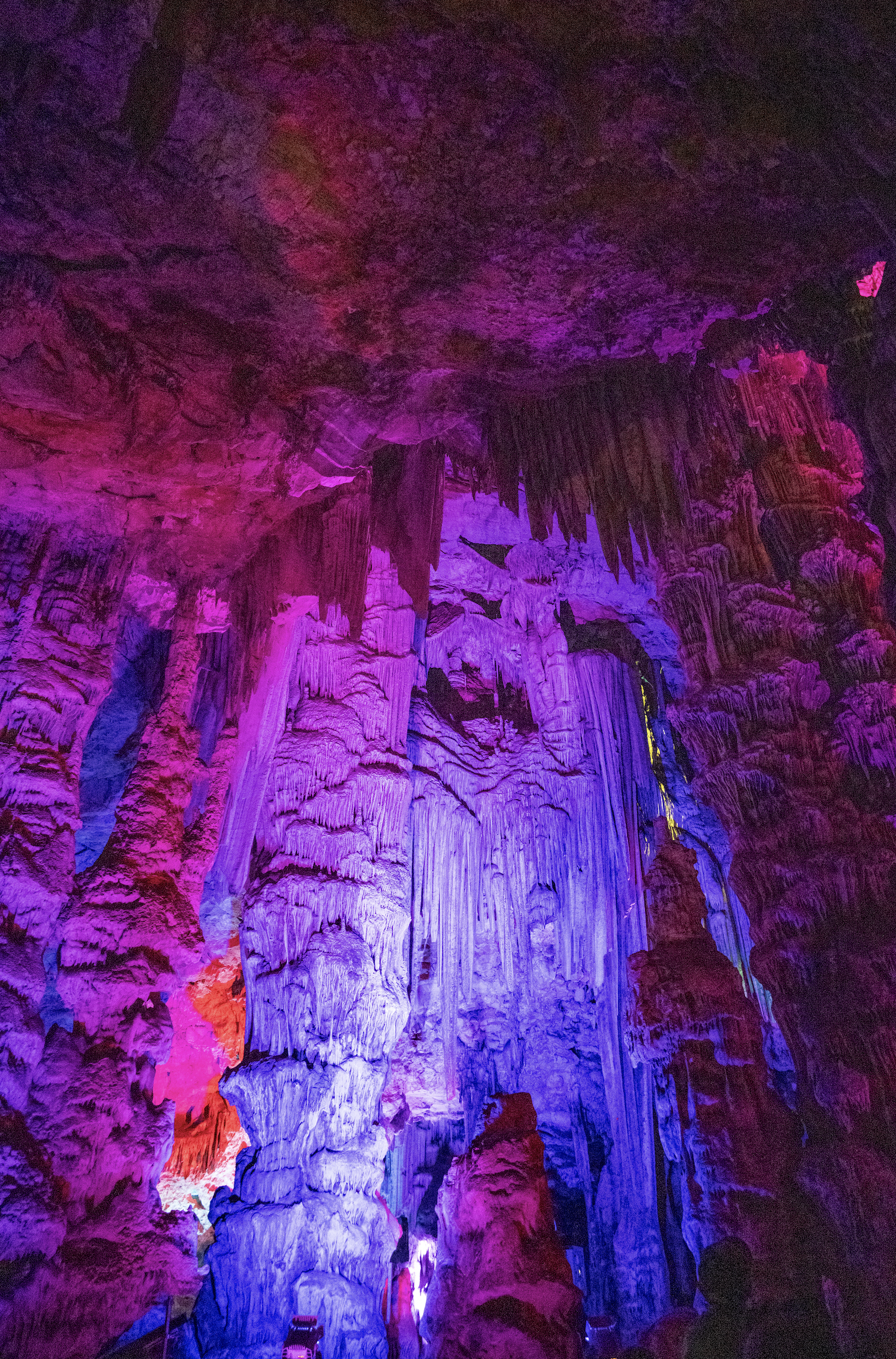 Screenshot 2026-02-20 at 8.50.57 AM.png