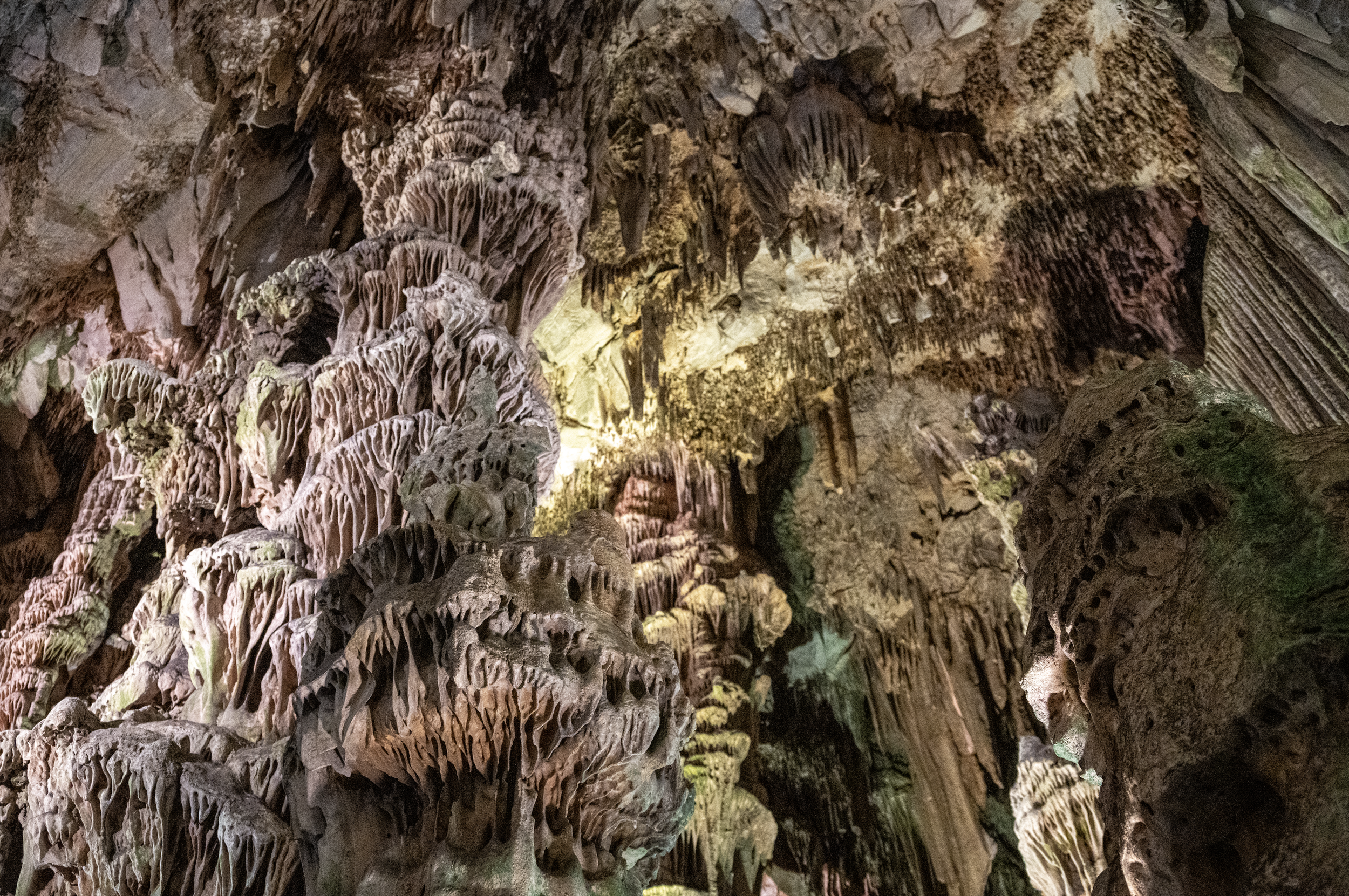 Screenshot 2026-02-20 at 8.51.05 AM.png