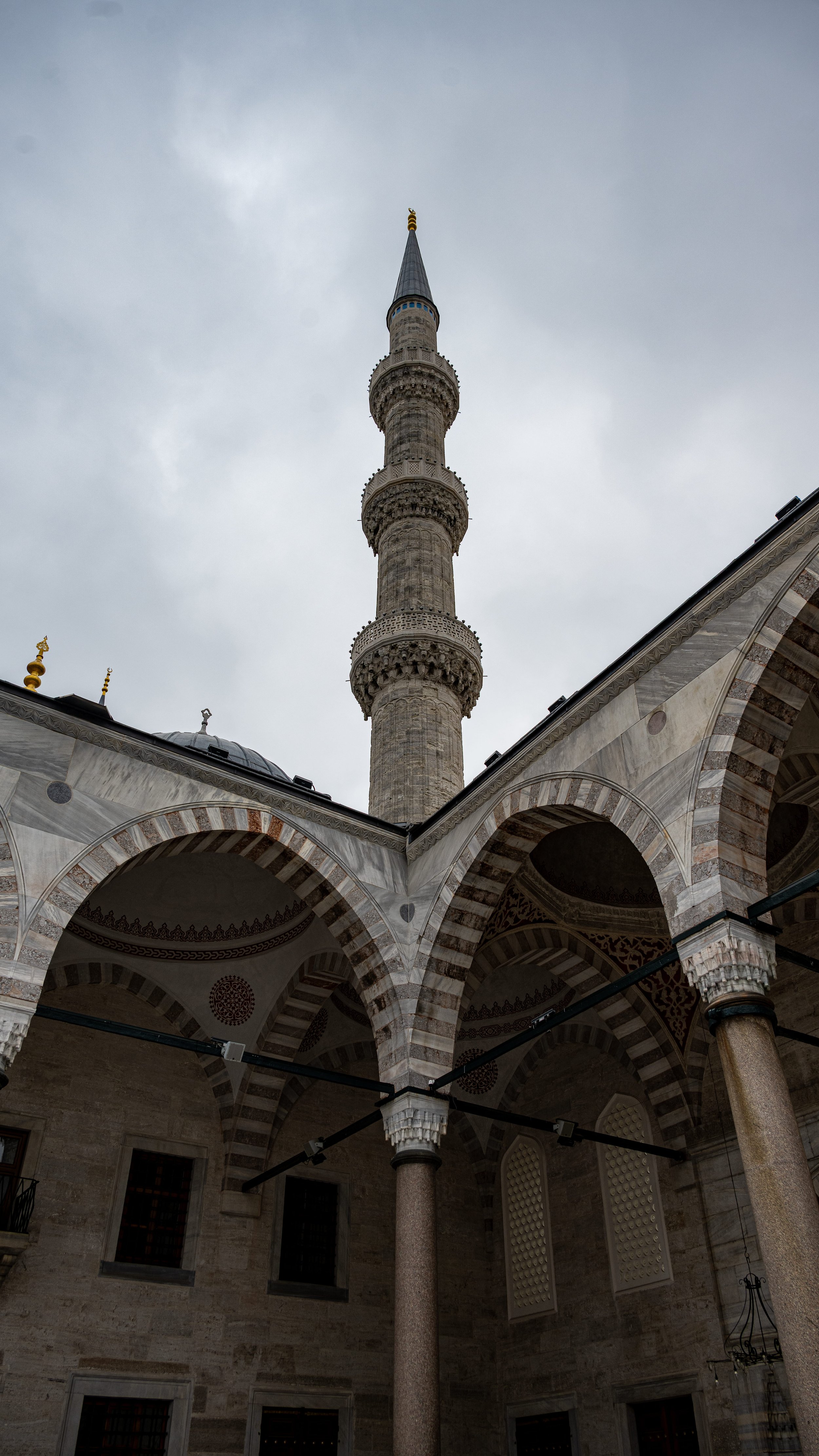 DSC_7442 (1).jpg