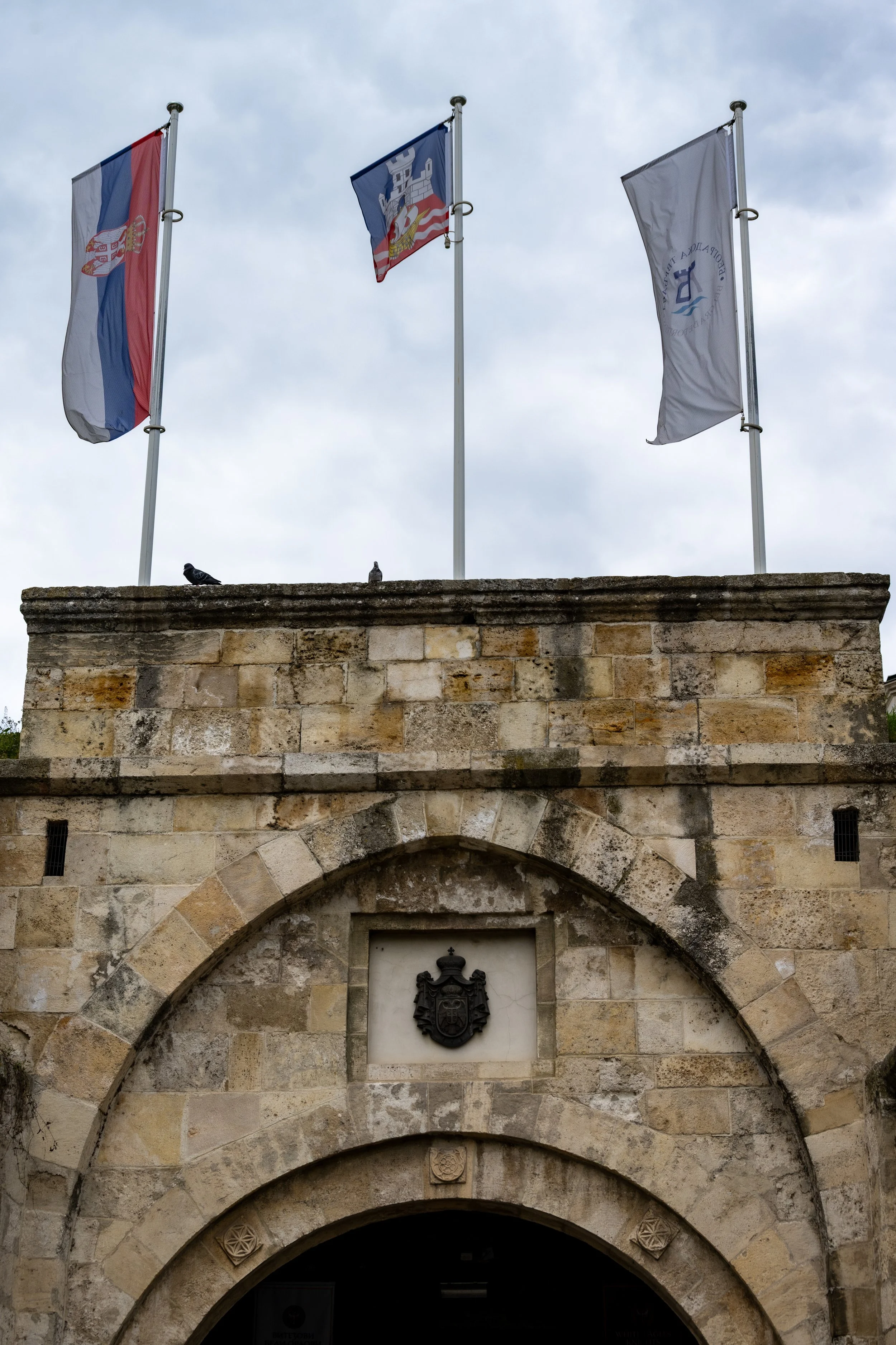 DSC_8006.jpg