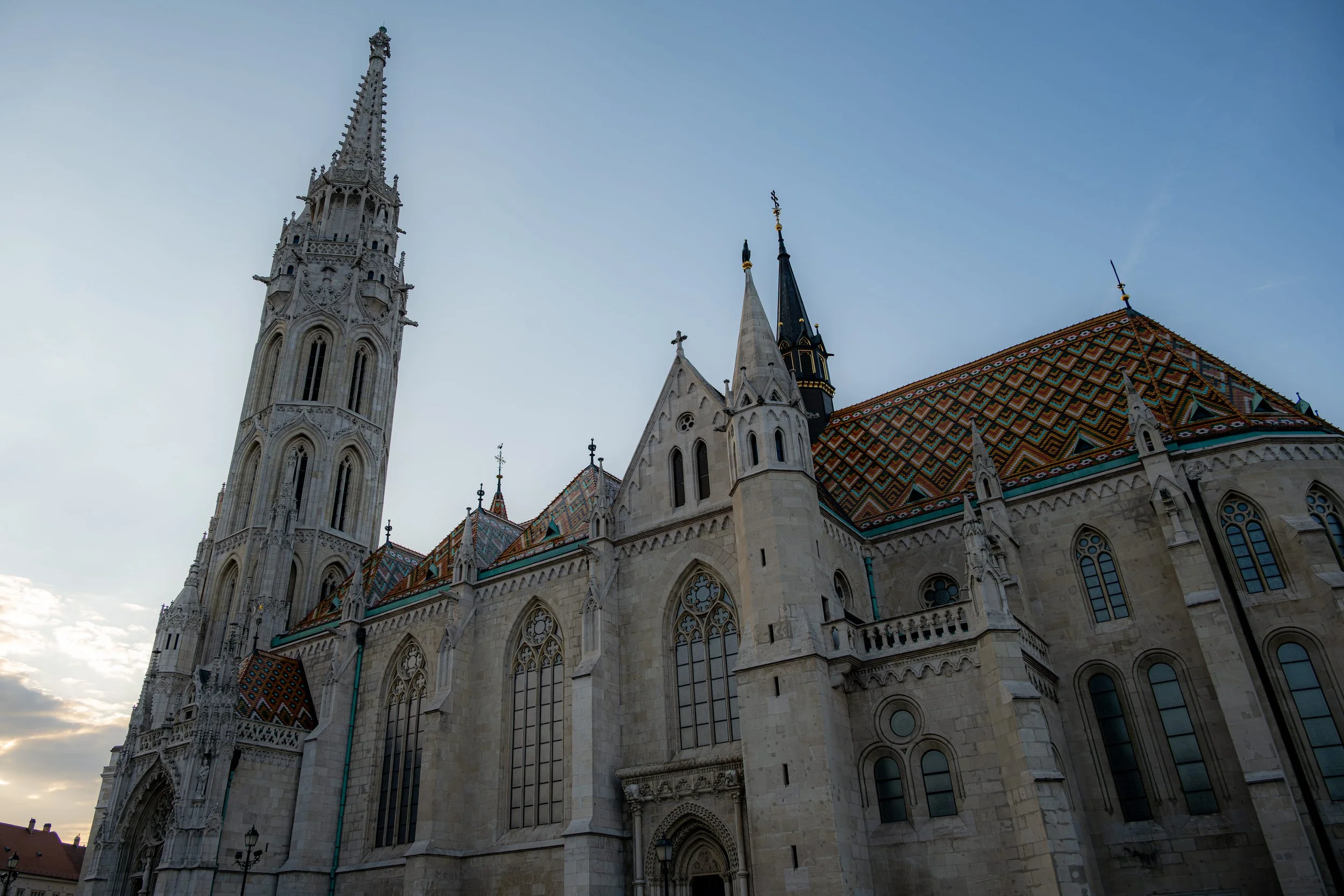 DSC_8115.jpg