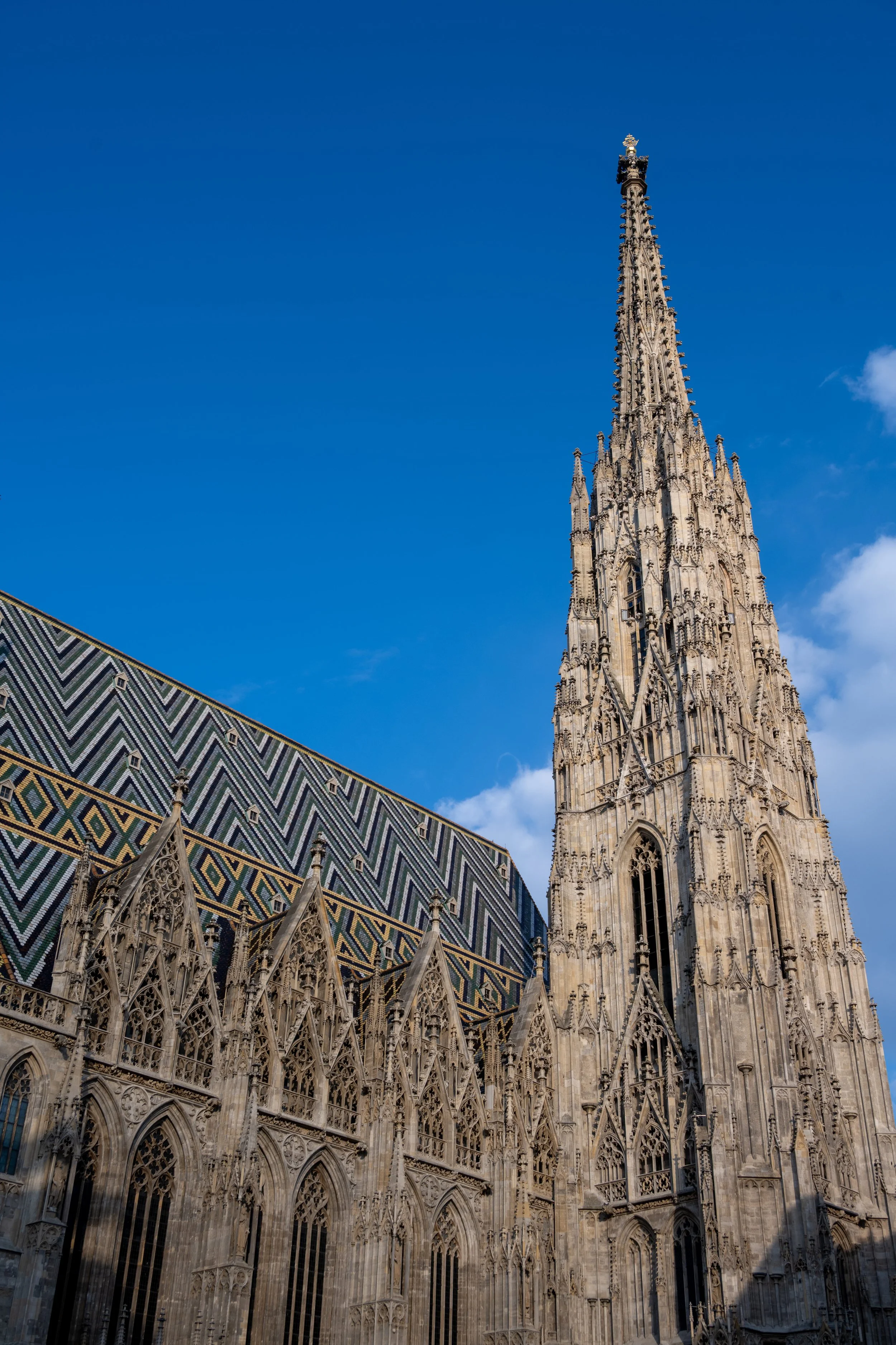 DSC_8182.jpg