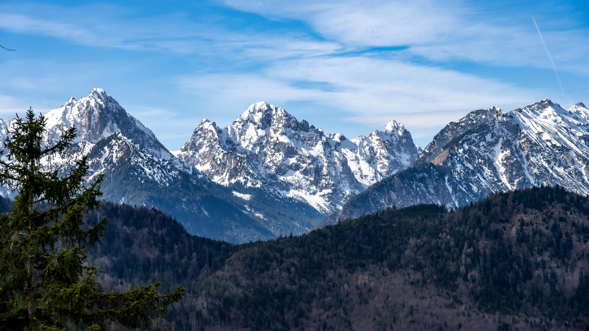 DSC_8284.jpg