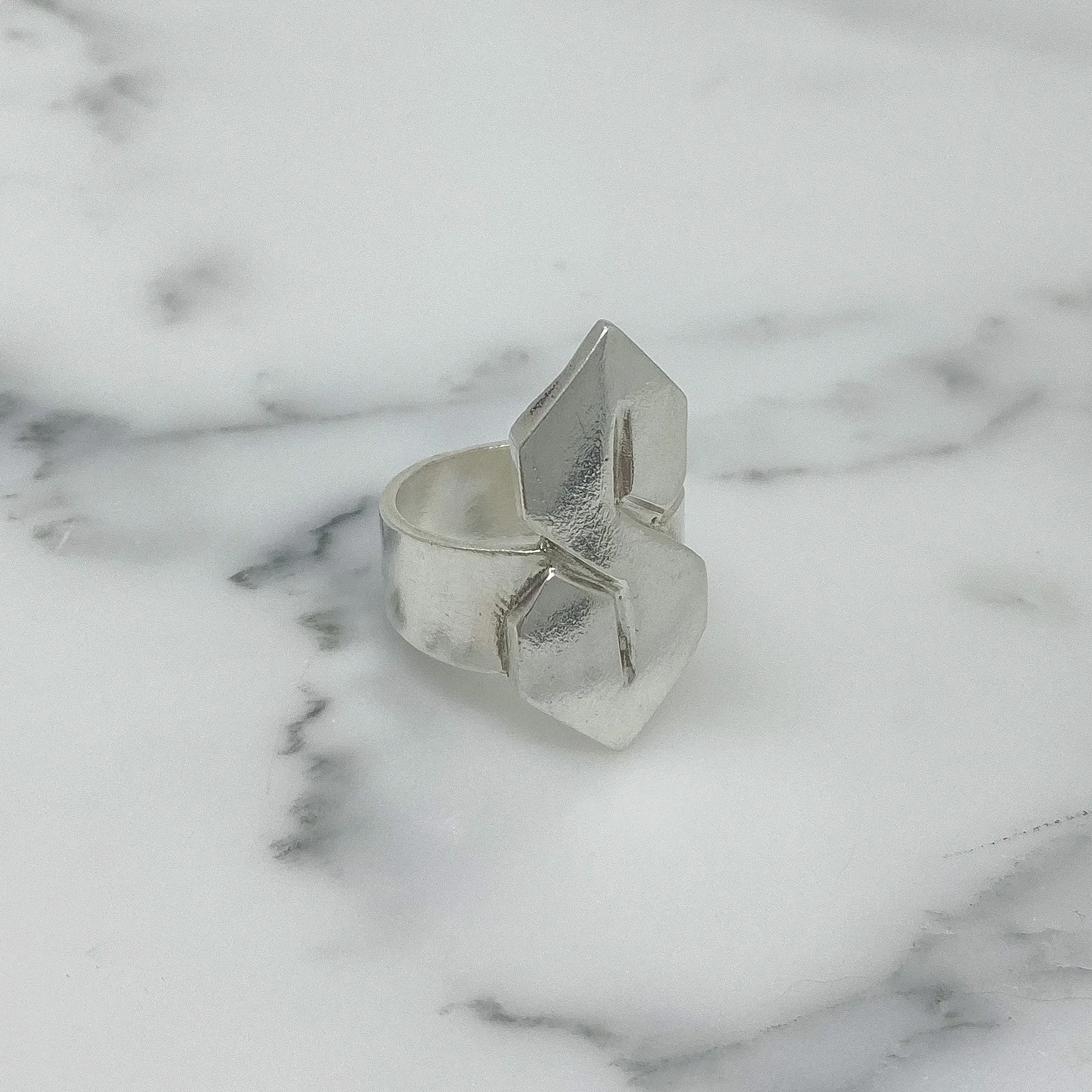 super duper silver 3:4.JPG