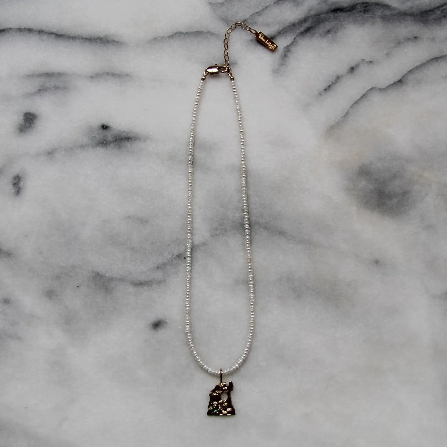 remains castle necklace