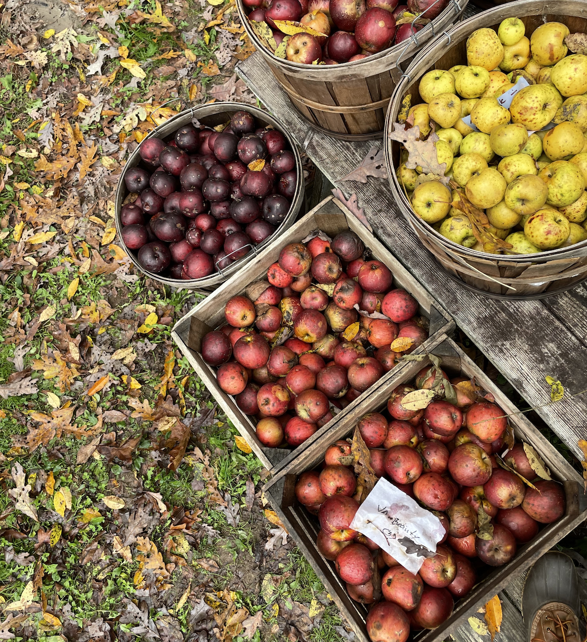 APPLE PRESSING