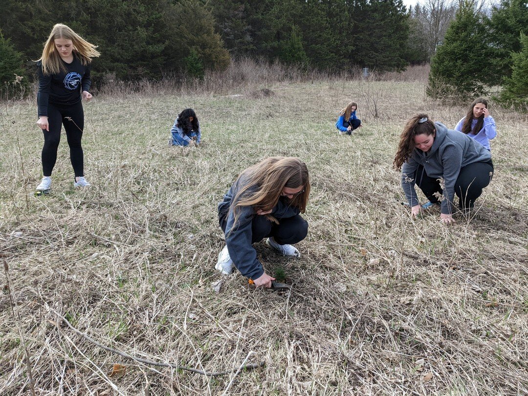The Door County Big Plant continues this week with Southern Door middle school's Dave Tupa planting over 500 trees from CCC and Forest Recovery Project with his students in their school forest. Thank you, Dave, for continuing this Earth Day tradition