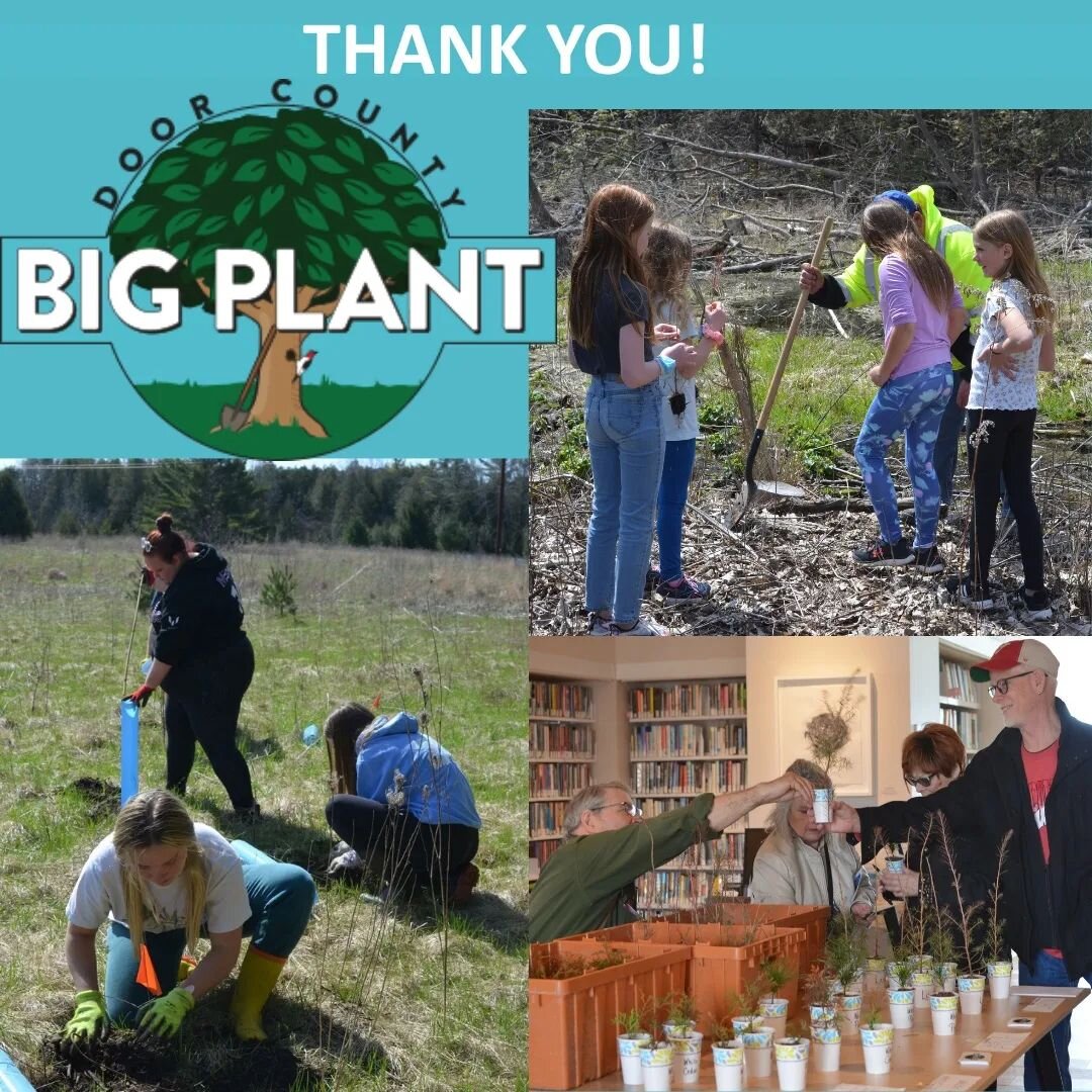 In collaboration with over 60 local organizations the Door County Big Plant helped plant 12,500 trees and plants since April 22. Thank you to all who added to the success of this year's project! Link in bio to see more about the Big Plant and the org