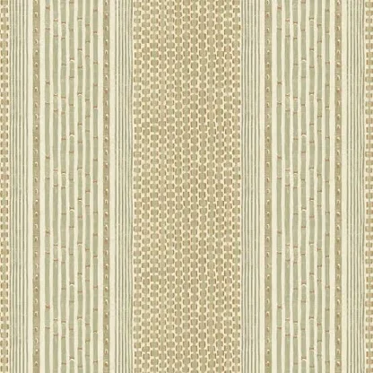 stripe image website.webp