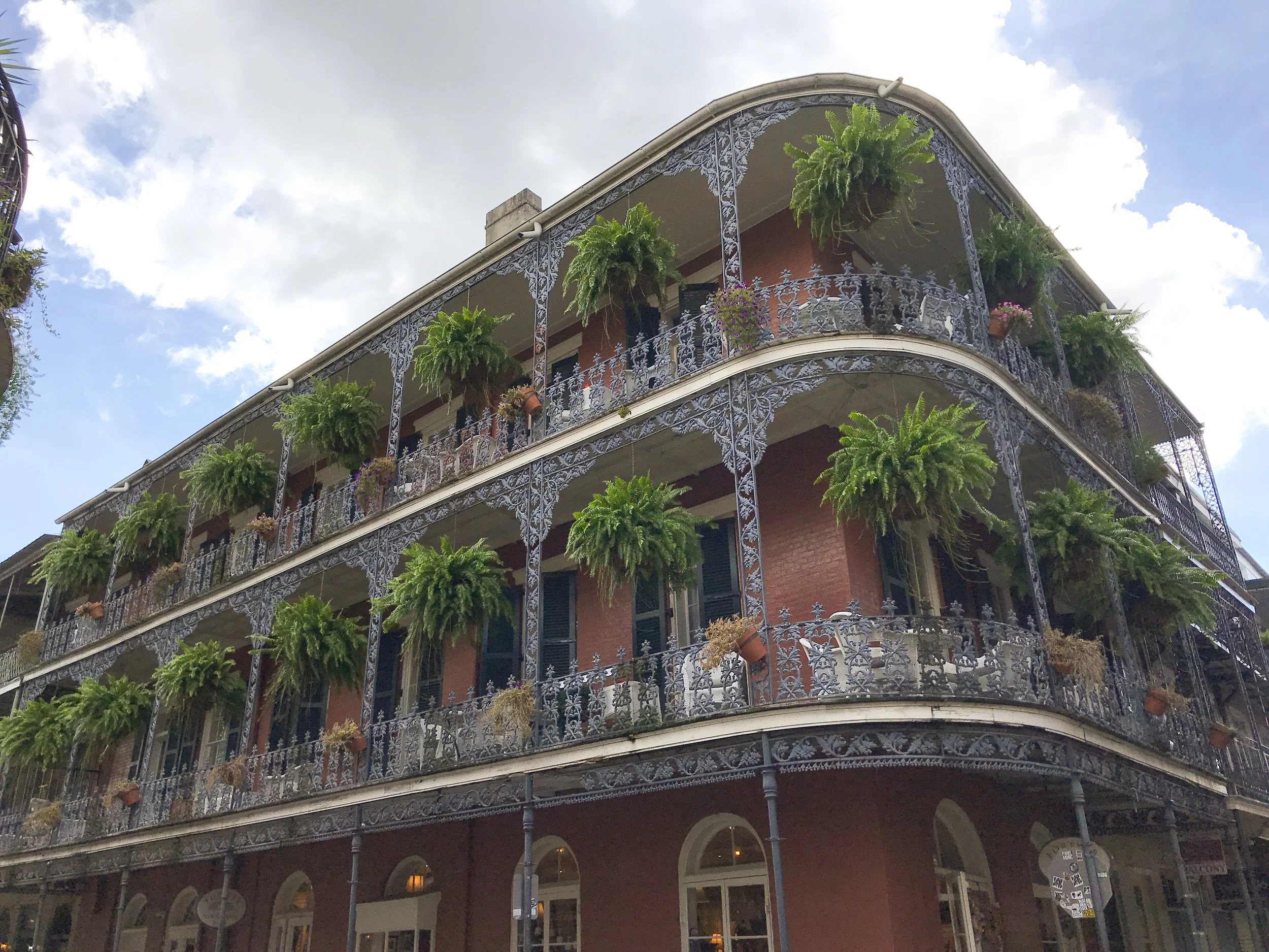 My Love of New Orleans