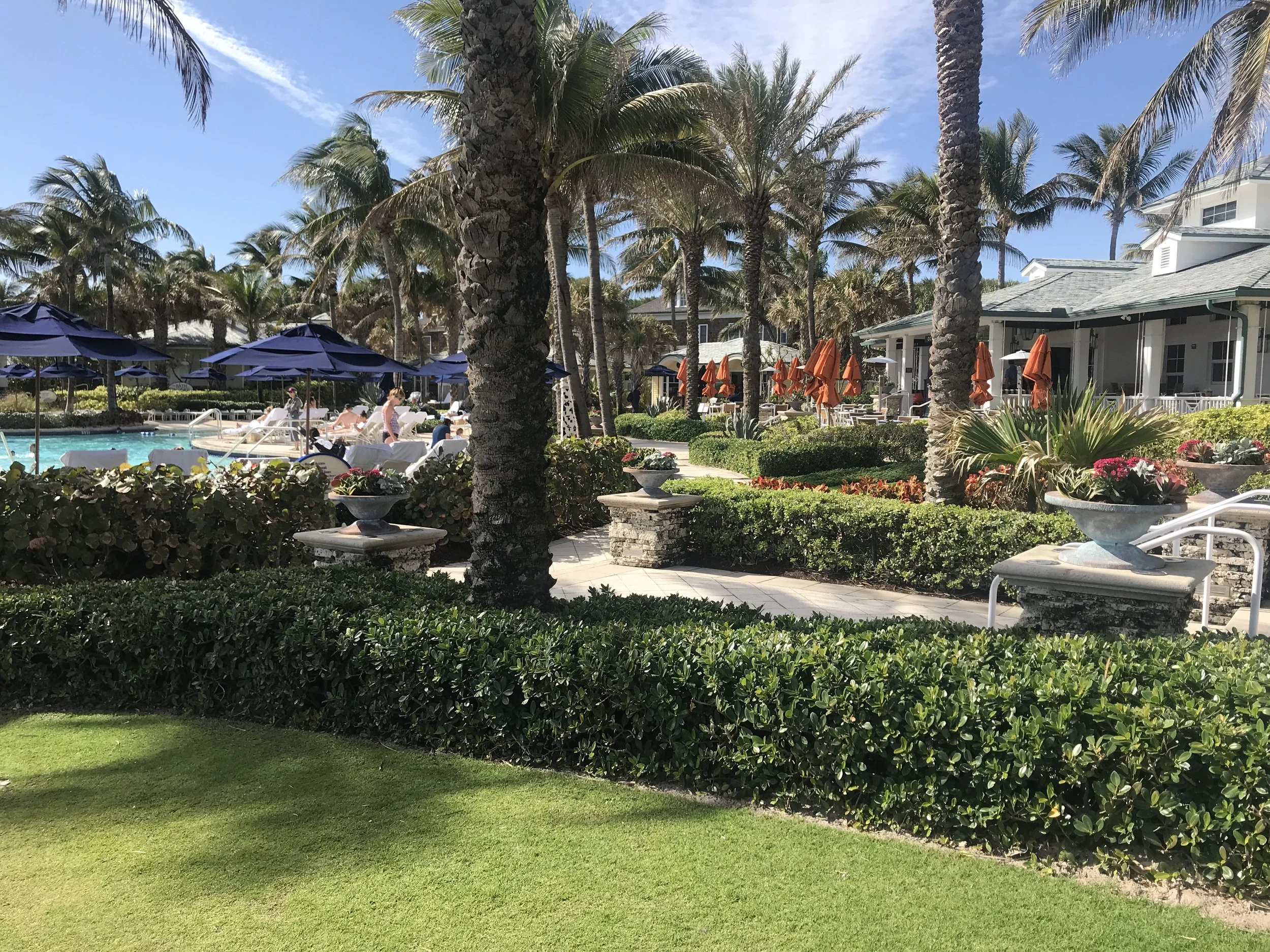 The Best of South Florida