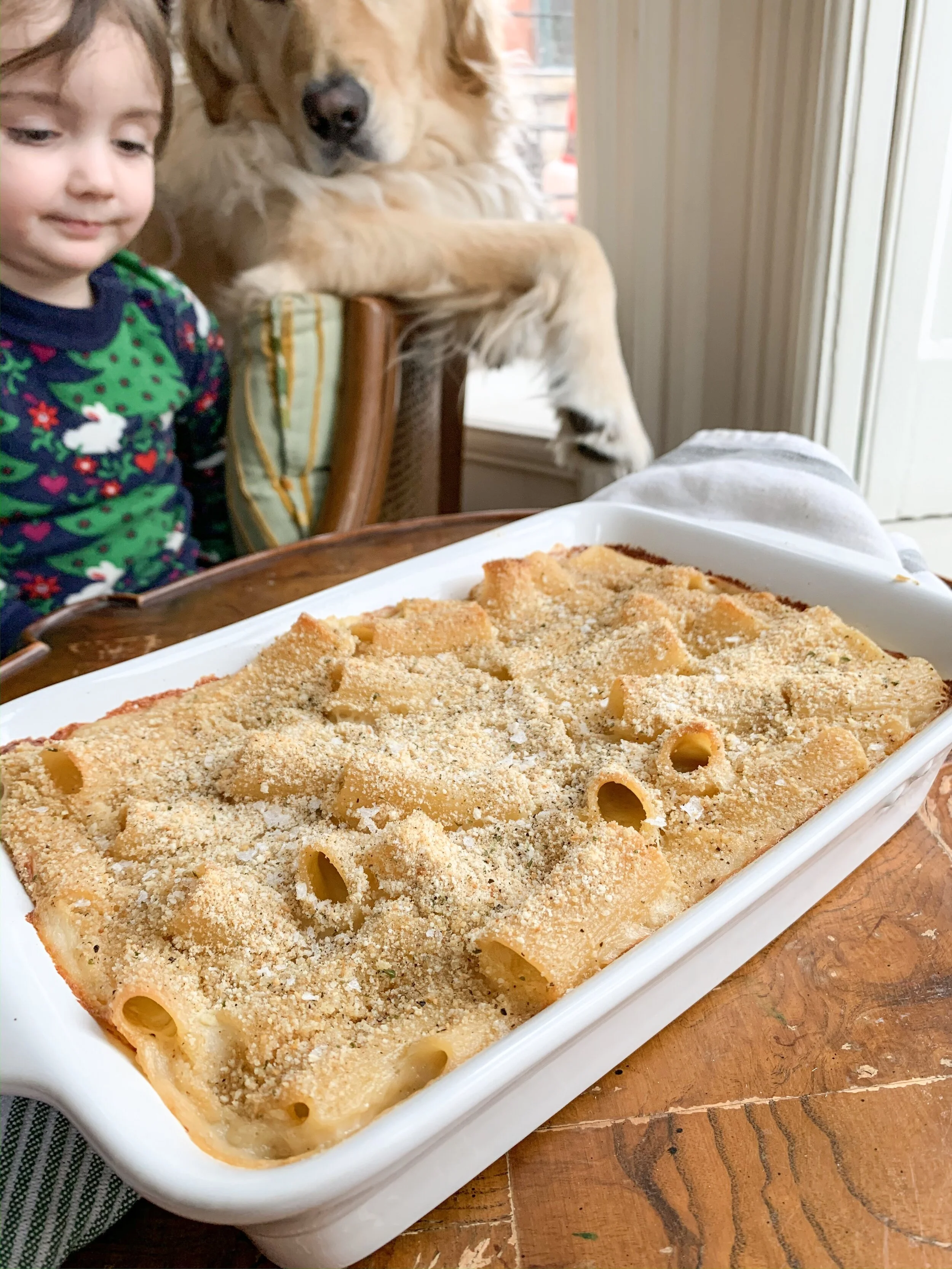 One of these babes got to eat the pasta off a dish… the other snagged crumbs off the floor.
