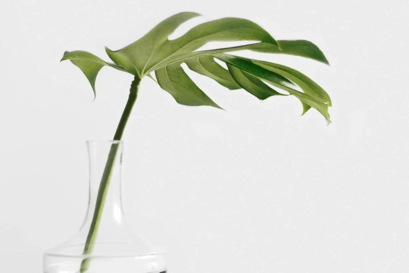 Virtual counselling banner for secure online therapy sessions at Couples Corner Counselling Moncton NB"