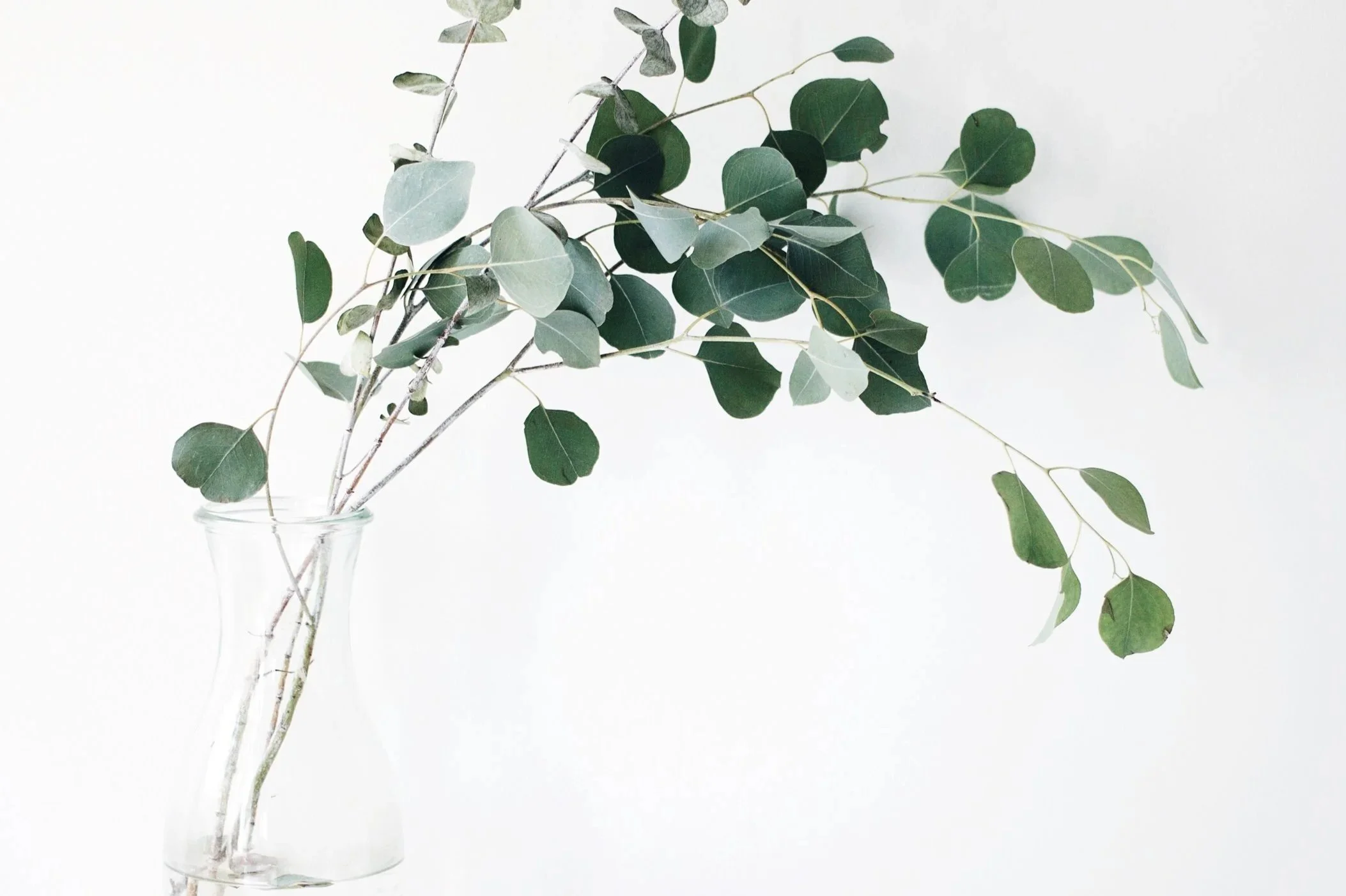 Couples in therapy session at Couples Corner Counselling Moncton NB, improving communication with expert therapists