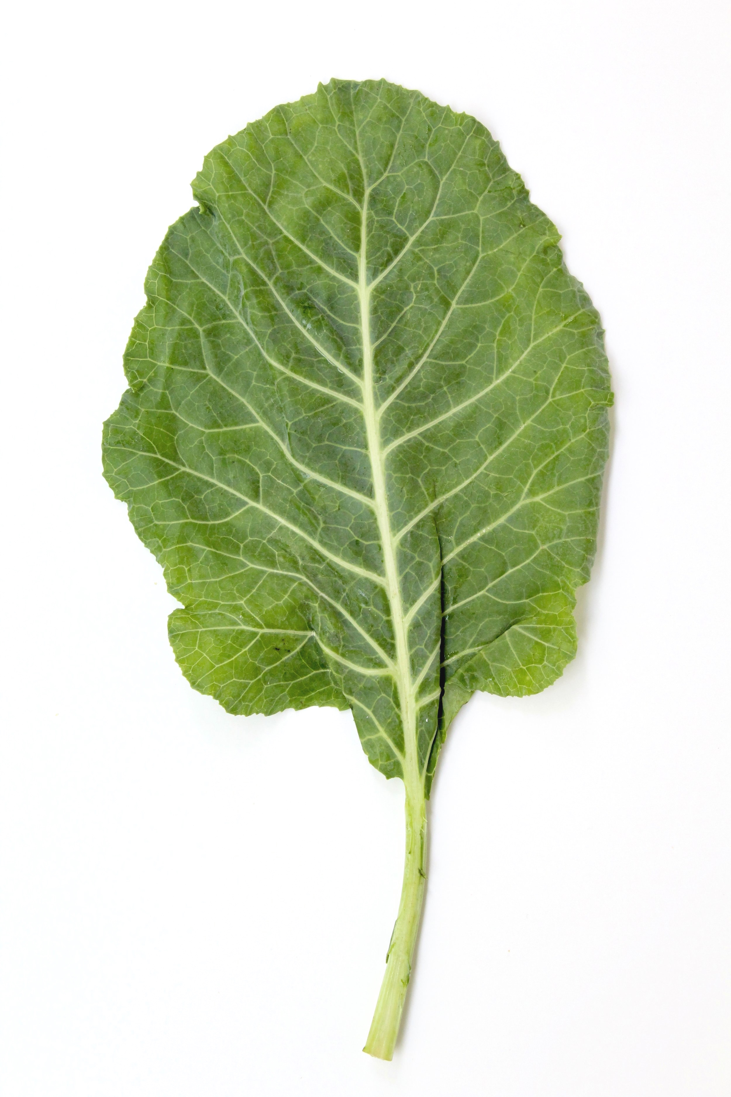 Leafy Greens