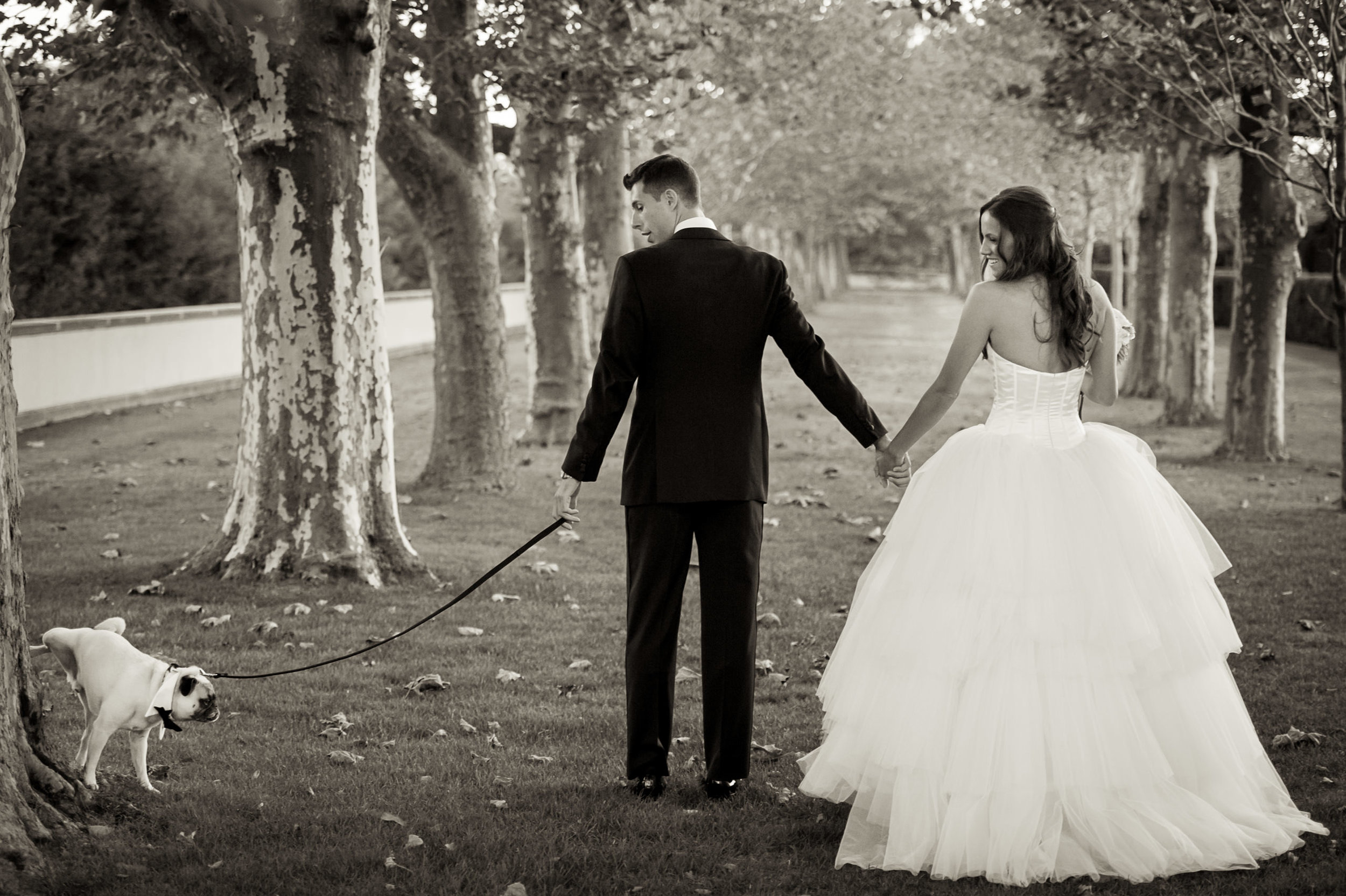 13_RAport_183413_RA1_0059_Funny_Dog_Photobomb_Wedding_Photography_Oheka_Castle_Long_Island_Pug_Bowtie-Tuxedo.JPG