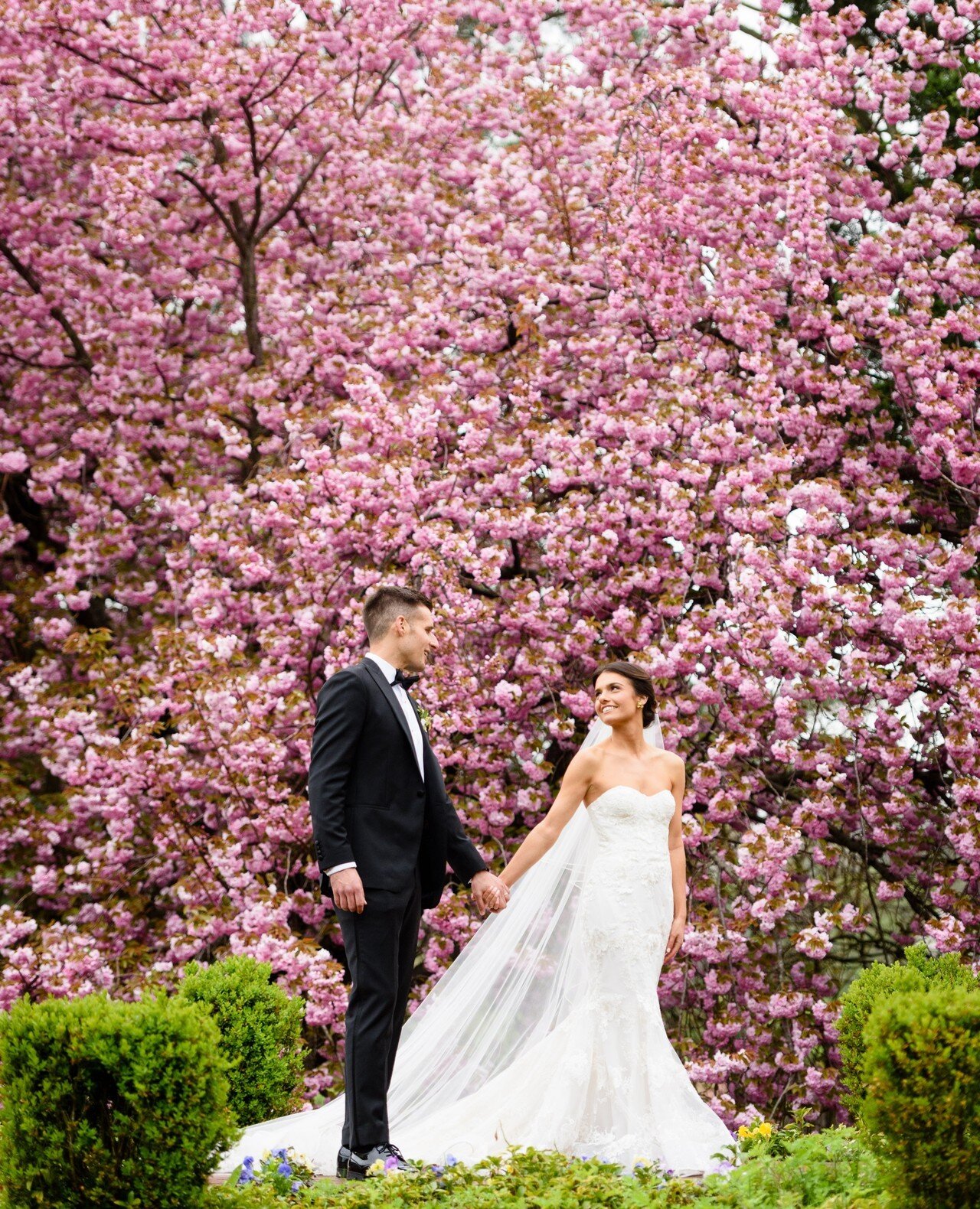 More beautiful cherry blossoms to brighten your feed 🌸💮⁠
⁠
📷: Ron for Brian Dorsey Studios⁠
Venue: The Ashford Estate (@weddingsofdistinctionnj)⁠
Event Planning: @gildedlilyevents⁠
Hair &amp; Makeup: @facetimebeauty⁠
Shoes: @alexandrebirman⁠
⁠