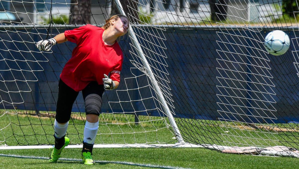 Soccer Spartans Fall Short of State Title