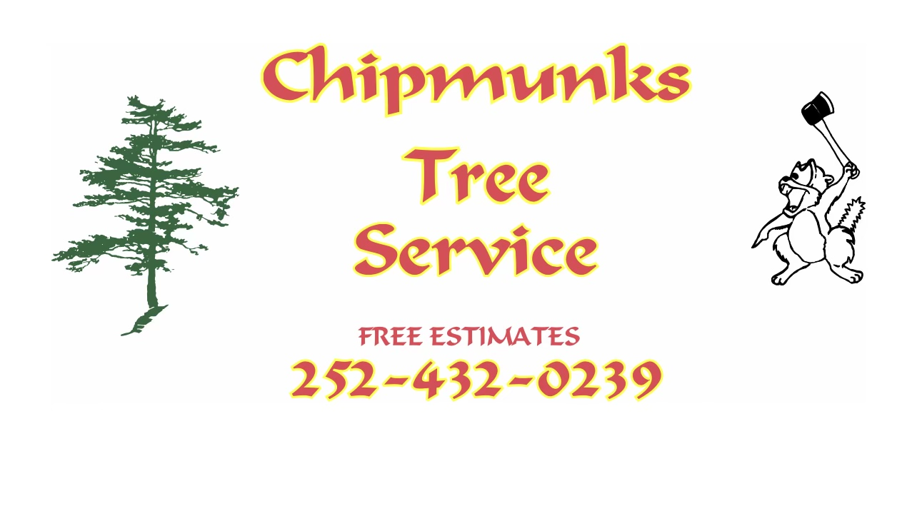 Chipmunks Tree Service