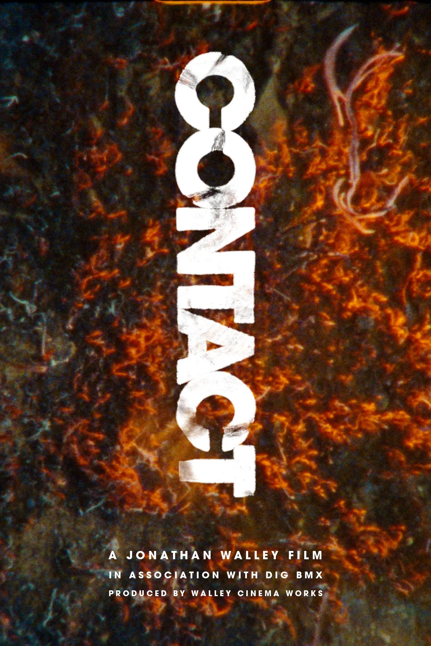 poster 2 alt smaller.jpeg