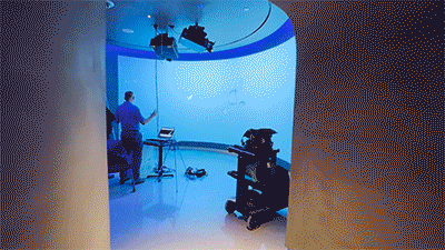 IMG_6032.gif