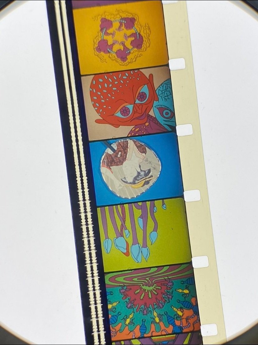 4+-+ANIMAITON+filmstrip.jpg