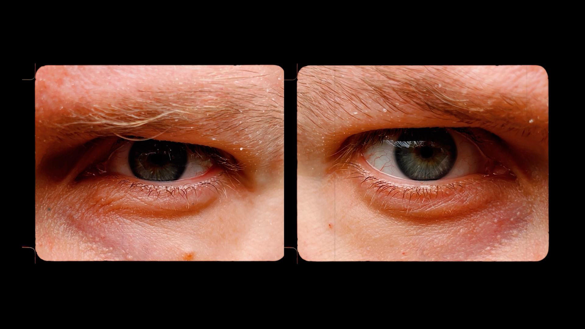 BrianDePhotographe-JL-01.png